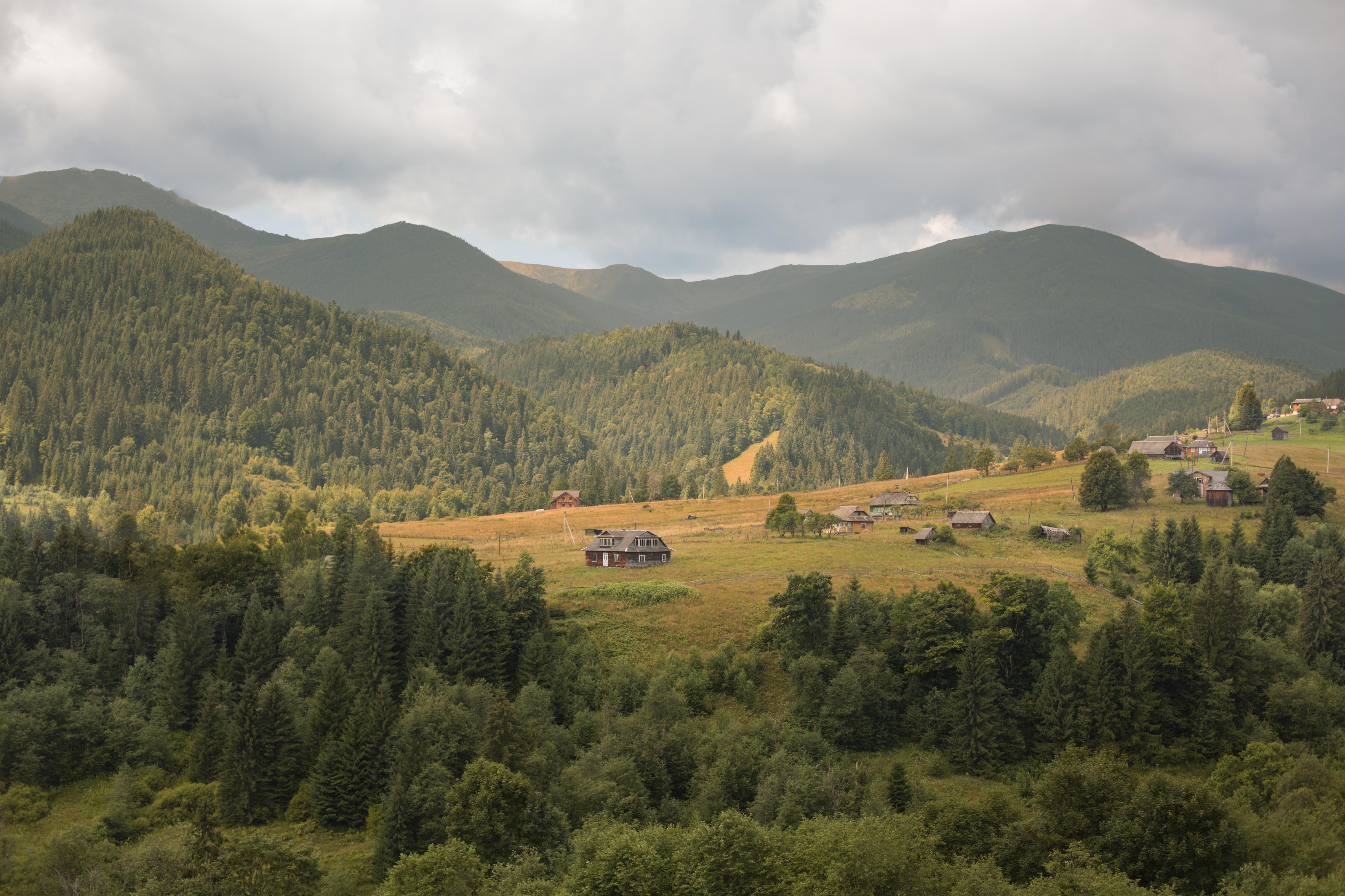 Montana Homesteads: A Growing Trend in Rural Real Estate