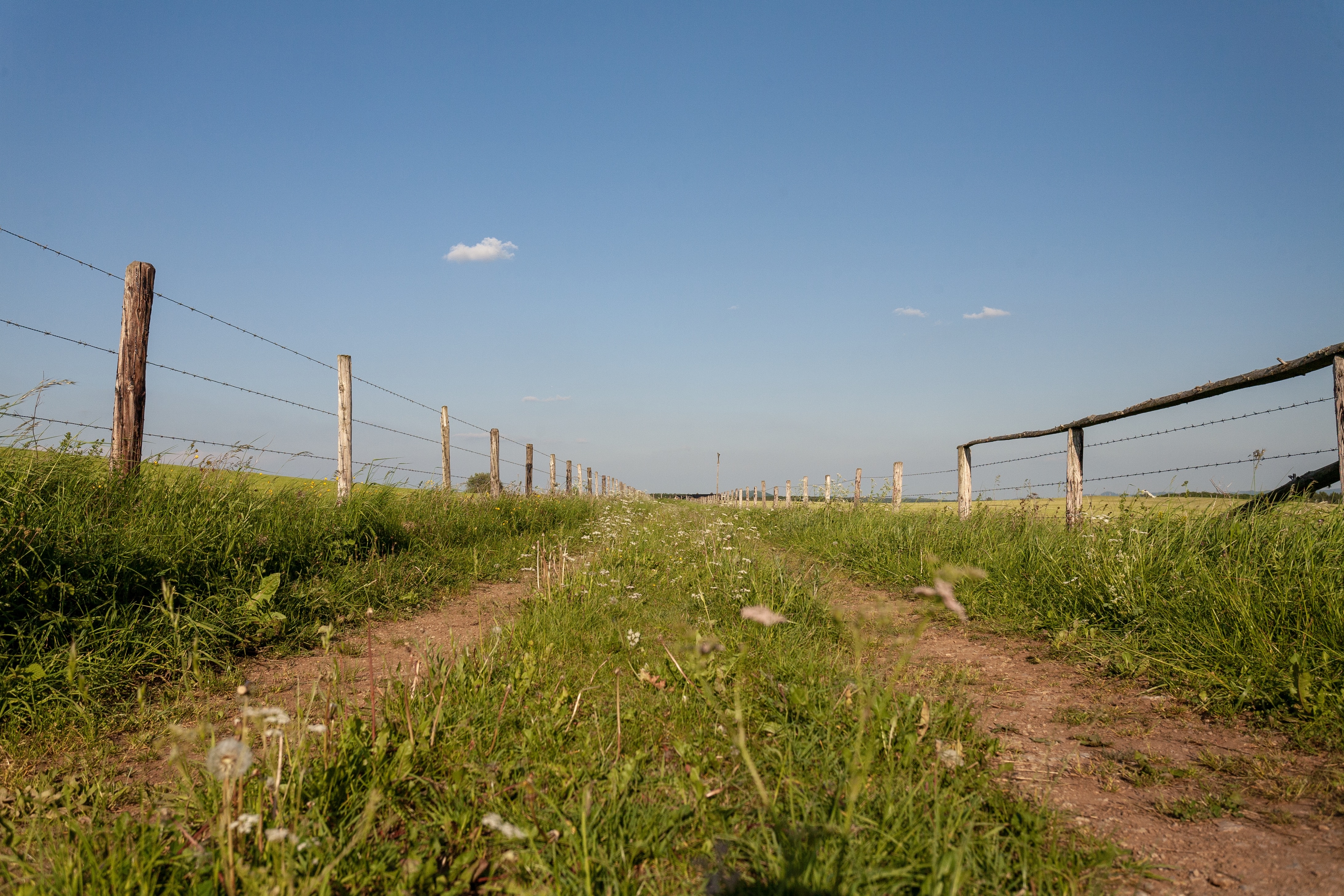 Ranch Land Improvements That Add Value to Your Property