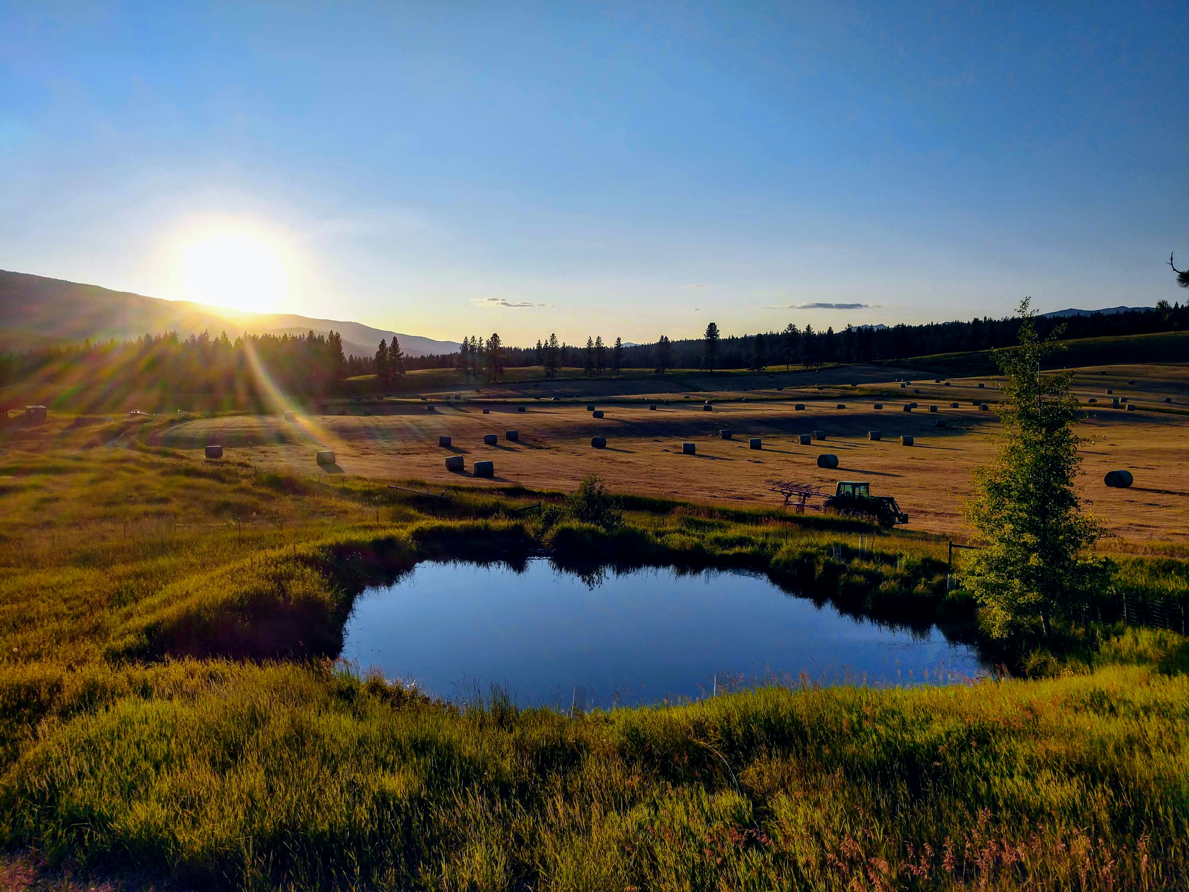 Find Your Freedom in Montana: Why More Buyers Are Choosing Wide-Open Land