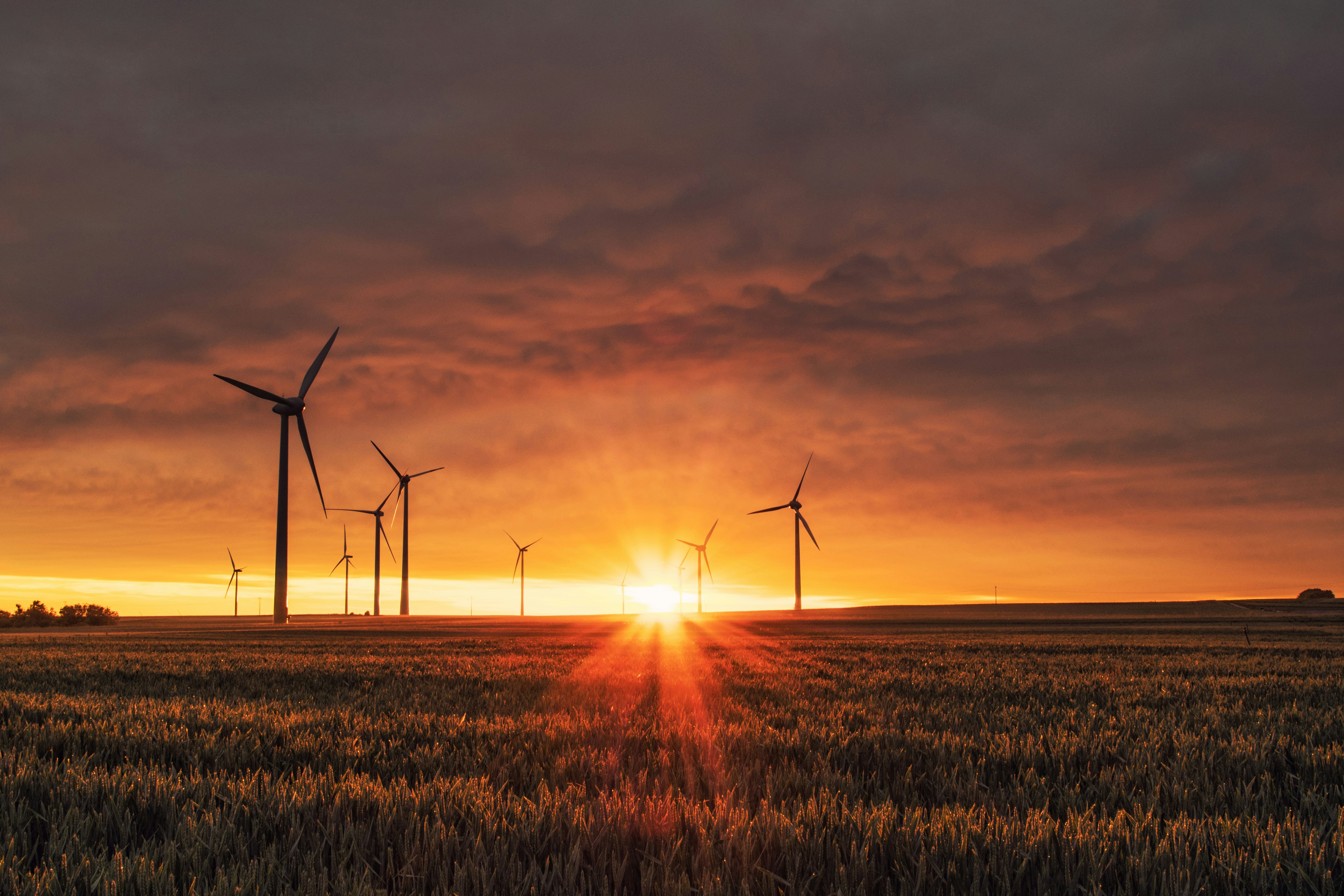 Sustainable Living In Western Montana