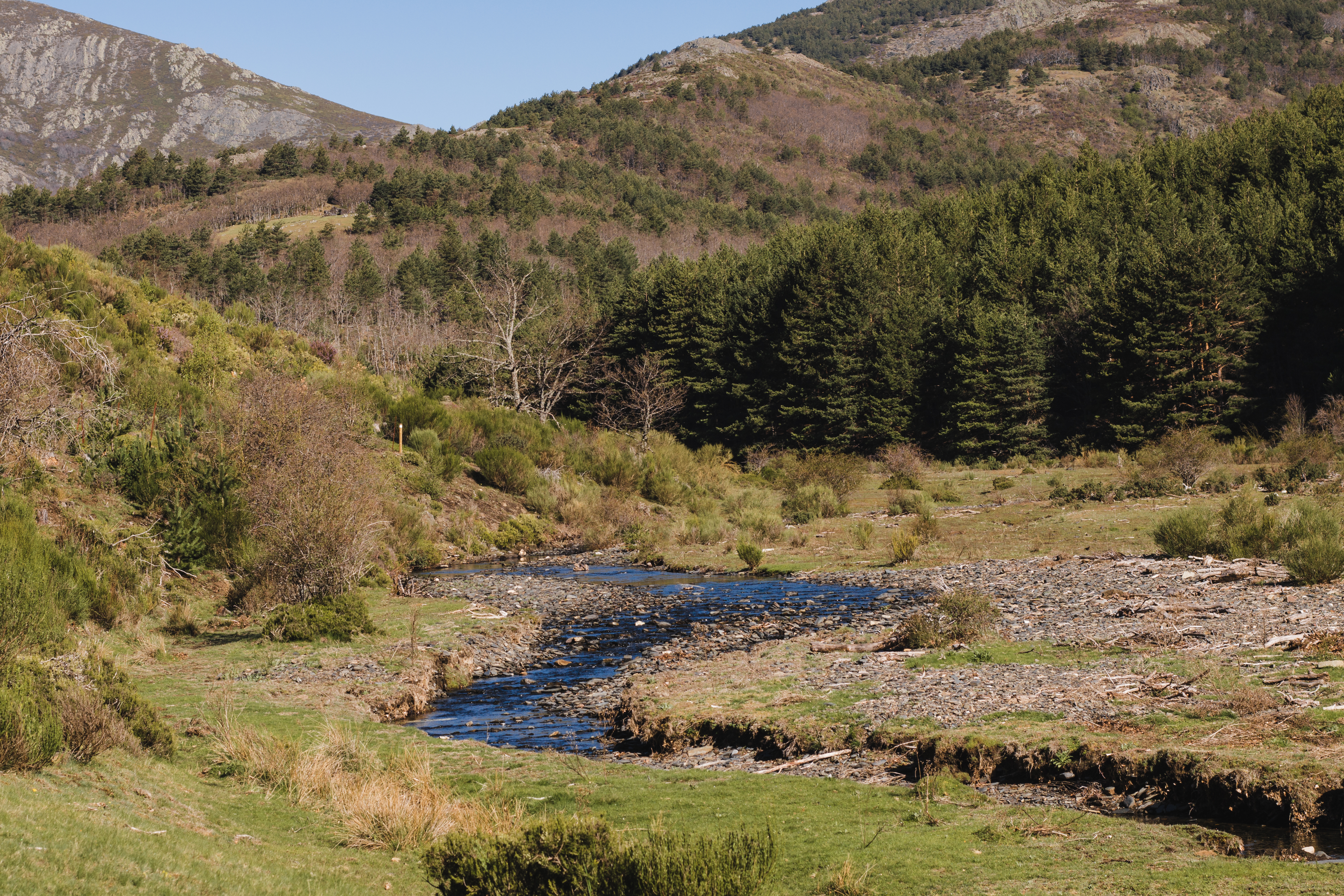 How Can Sellers Maximize the Value of Their Montana Hunting Land?