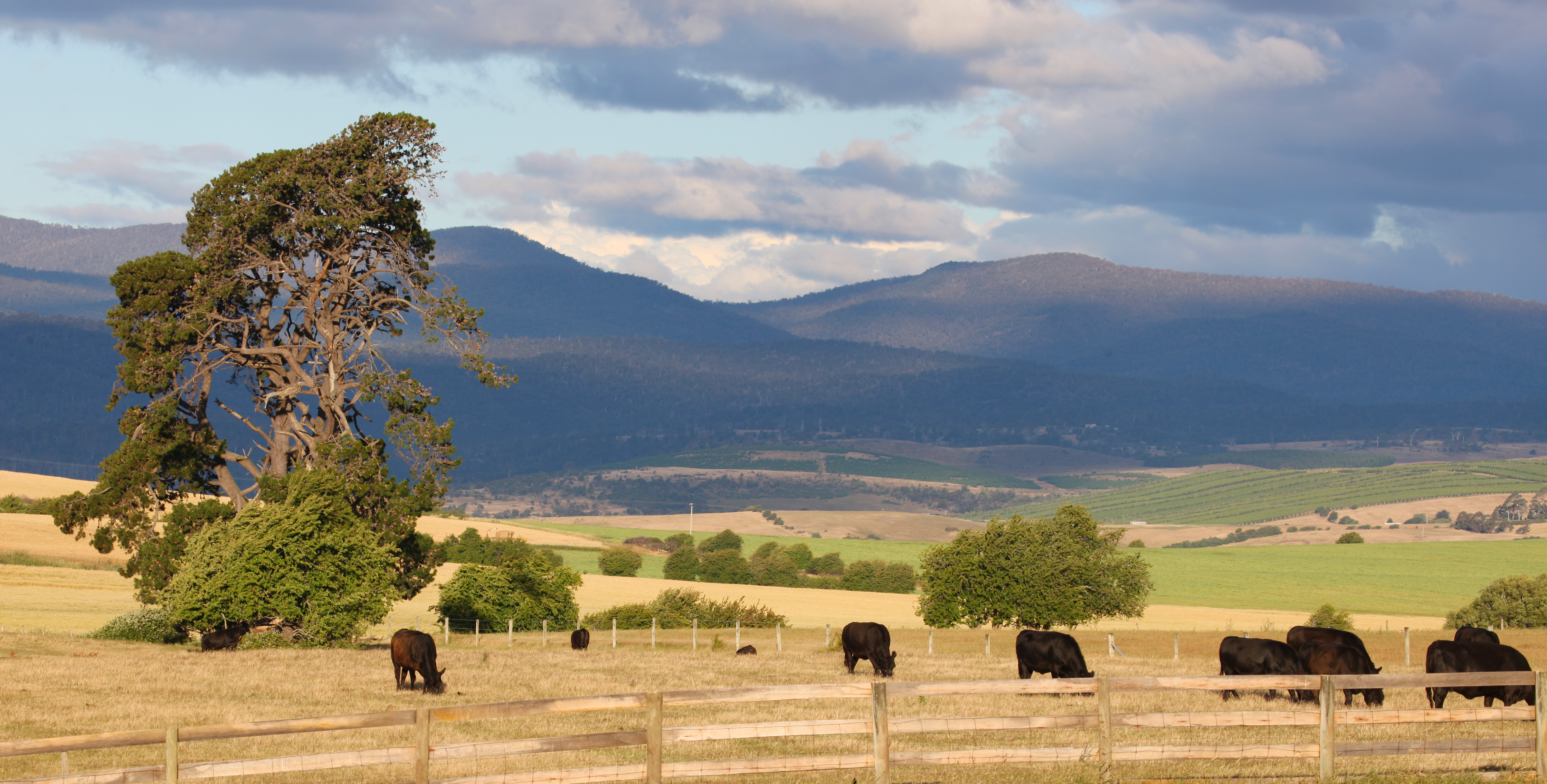 Working Ranch vs. Recreational Ranch in Montana: 5 Key Differences