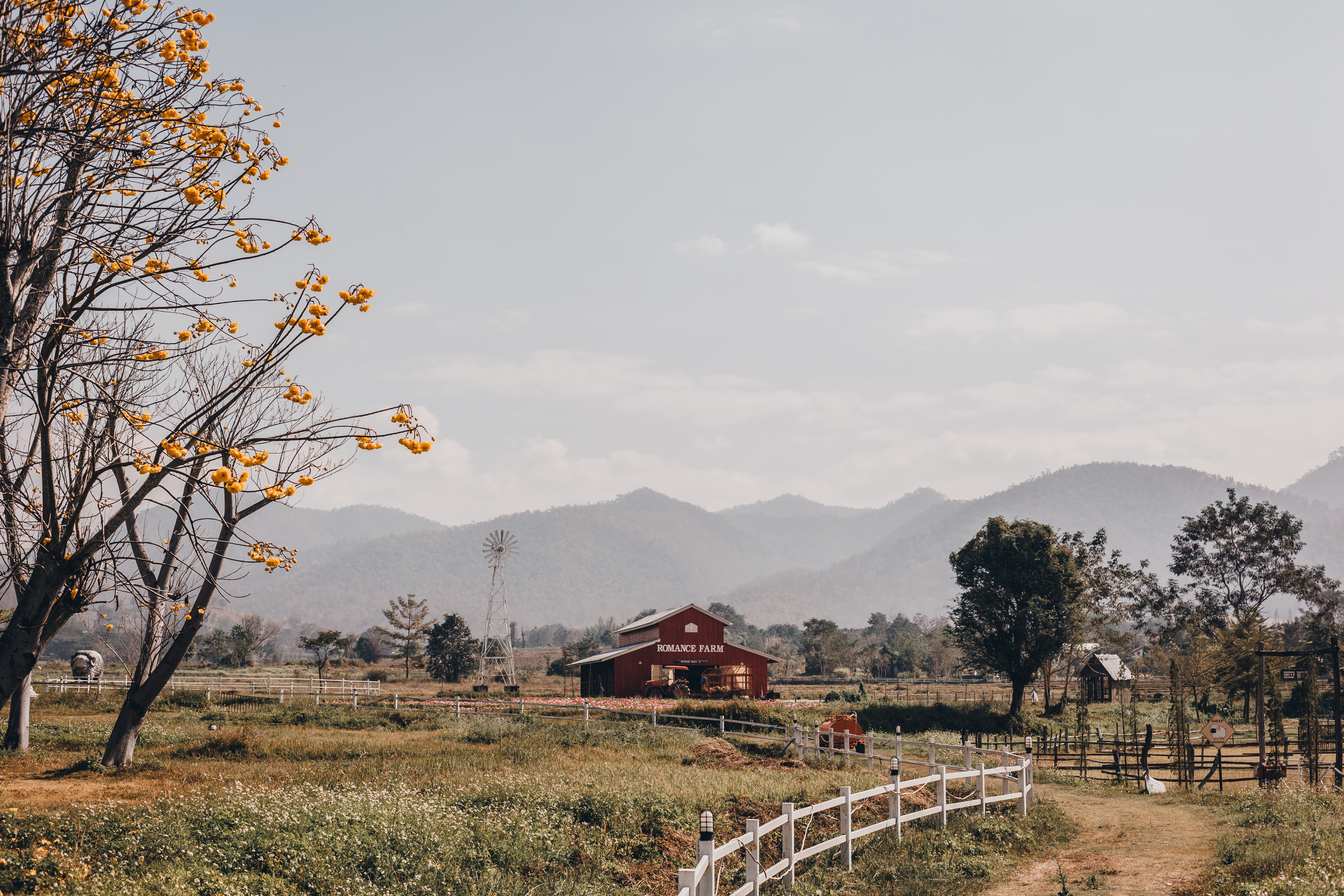 Marketing a Montana Ranch: Reaching the Right Buyers