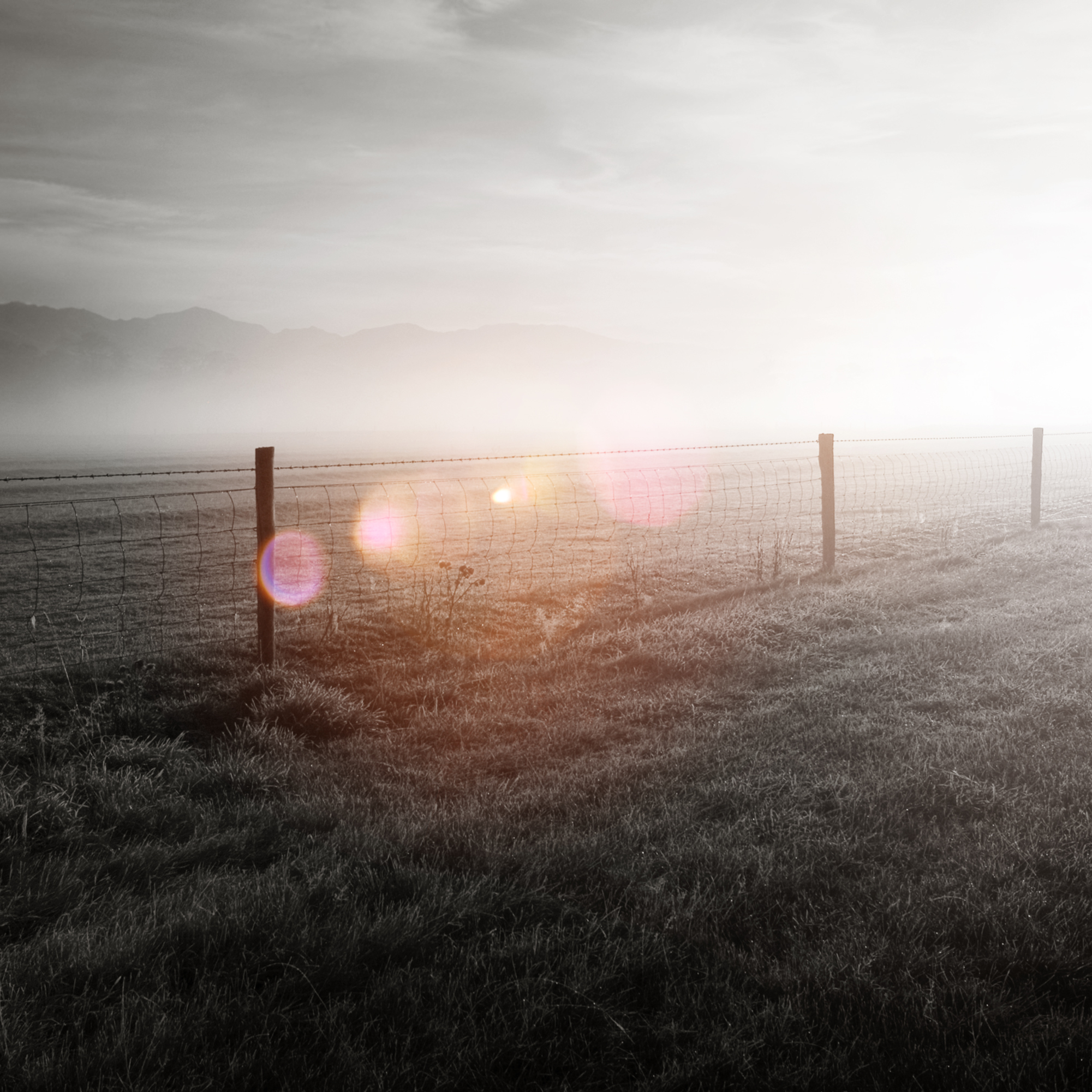 Low-Waste Living in the Country: Practical Tips That Make a Difference