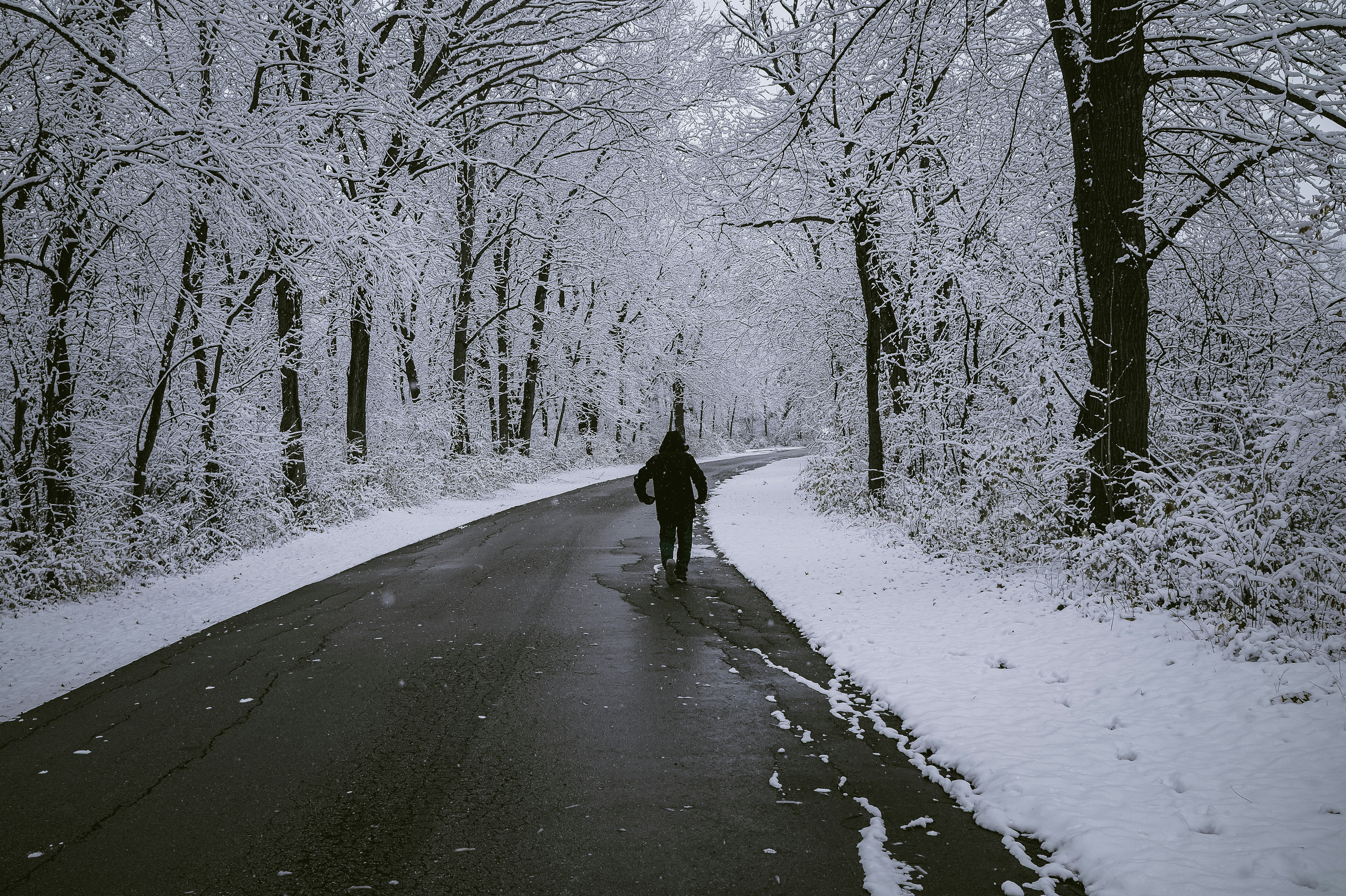 The Big Dig: Your Post-Blizzard Home Recovery Guide for Missouri Valley, Iowa