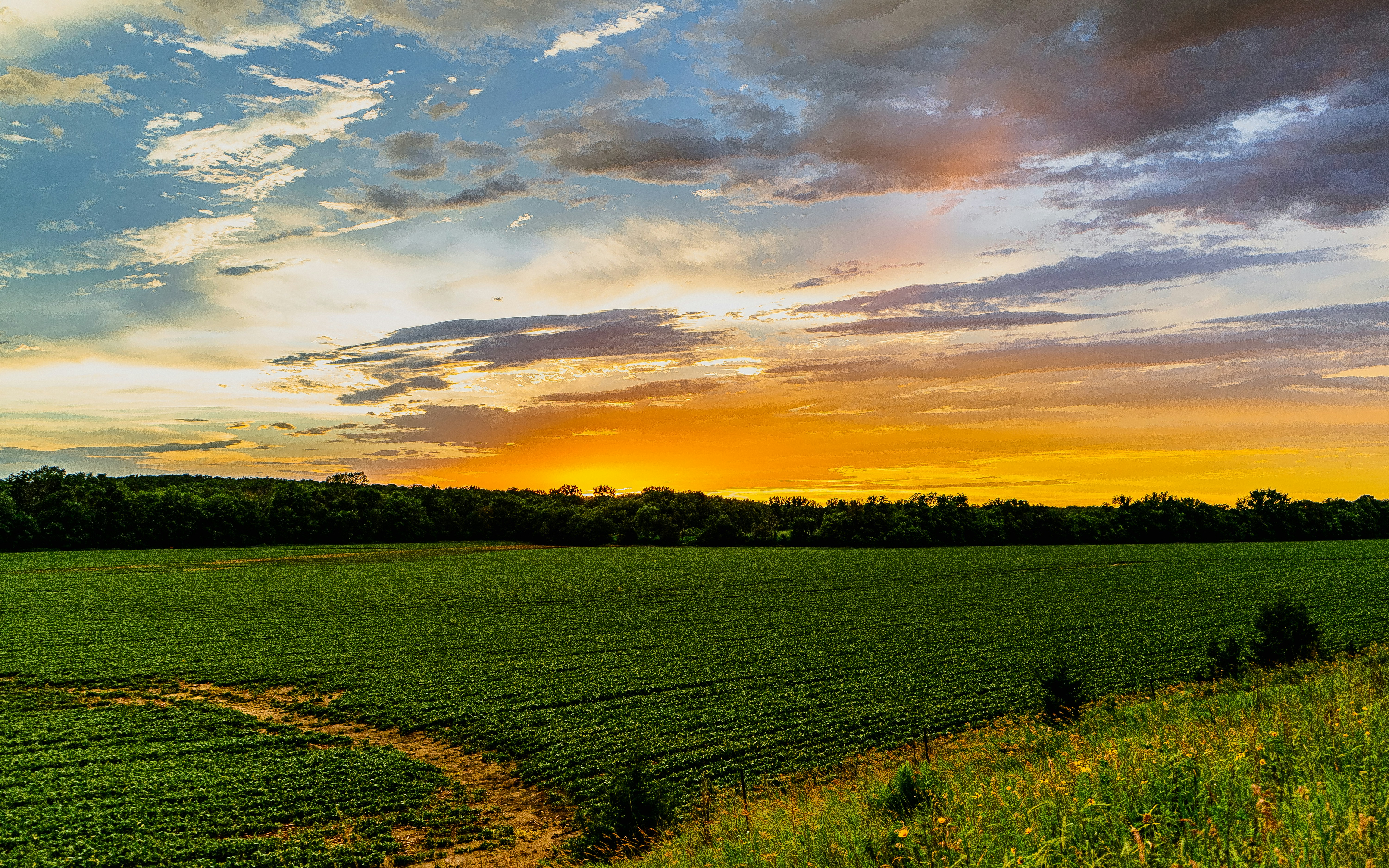 To Build or to Buy? Navigating the Homeowner's Dilemma in Western Iowa