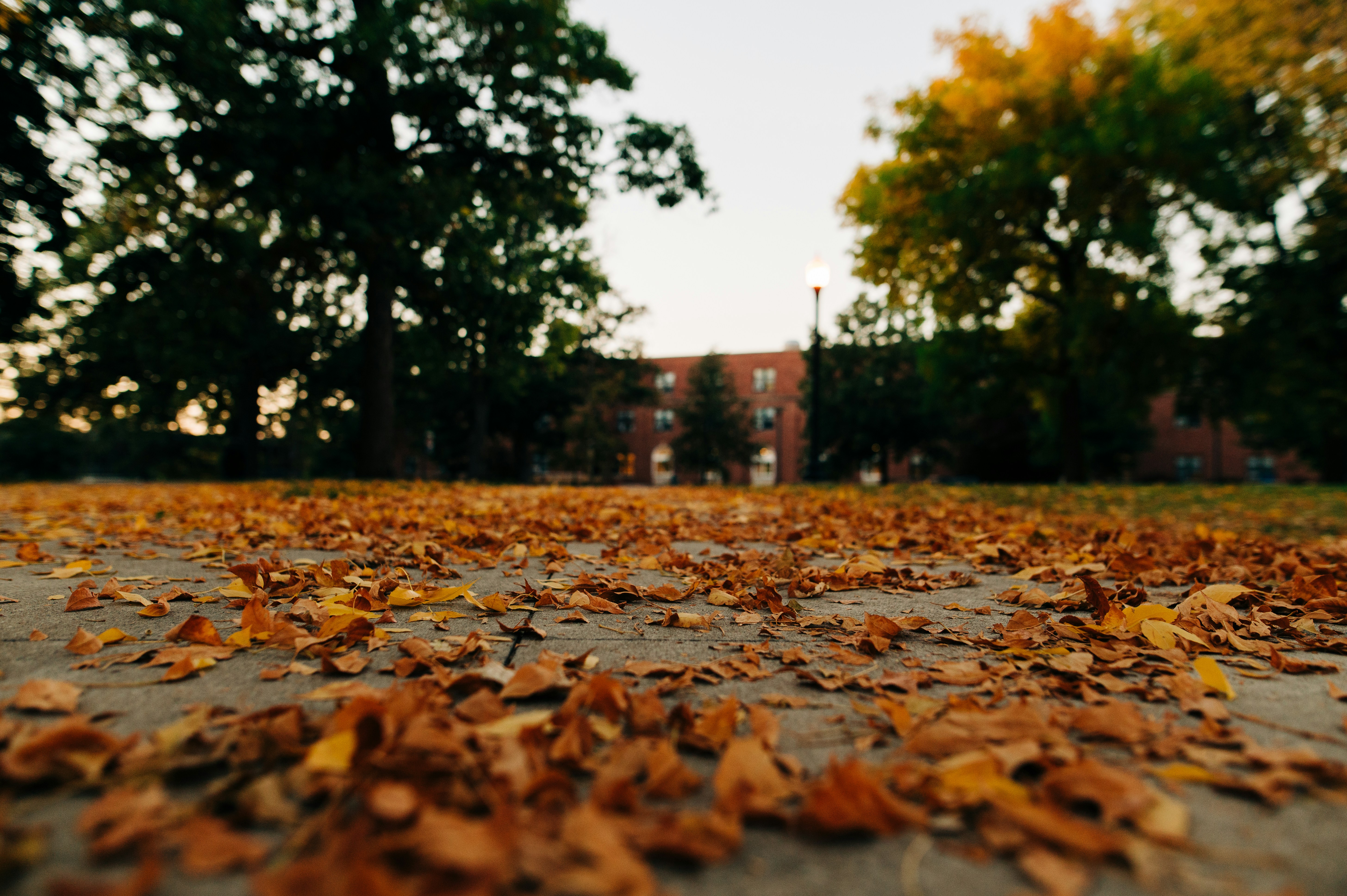 🍁 Is October the Best Time to Buy? Analyzing Motivation in the Loess Hills Real Estate Market