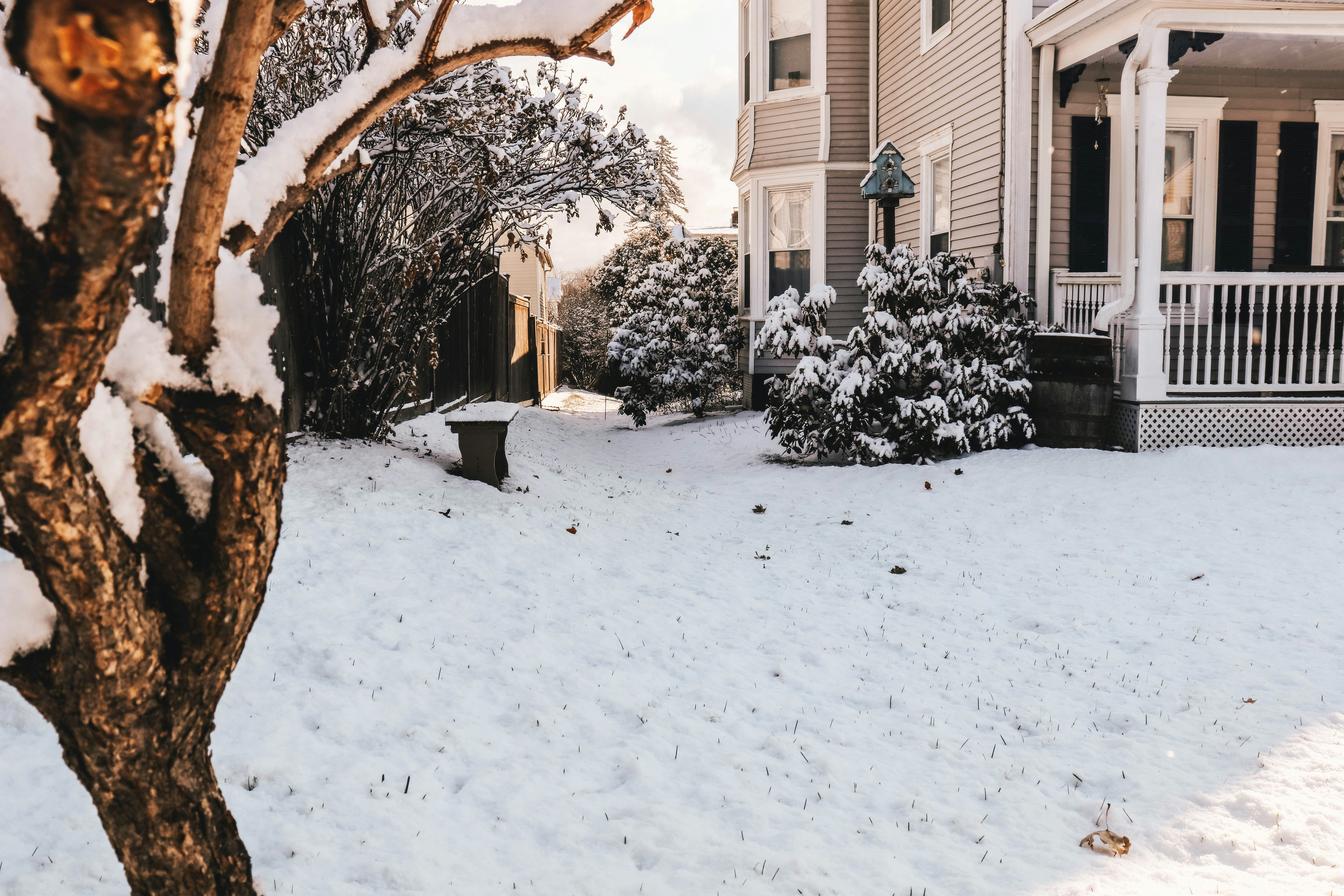 Frozen In, Not Logged Out: The Ultimate Blizzard Prep Guide for Your Home