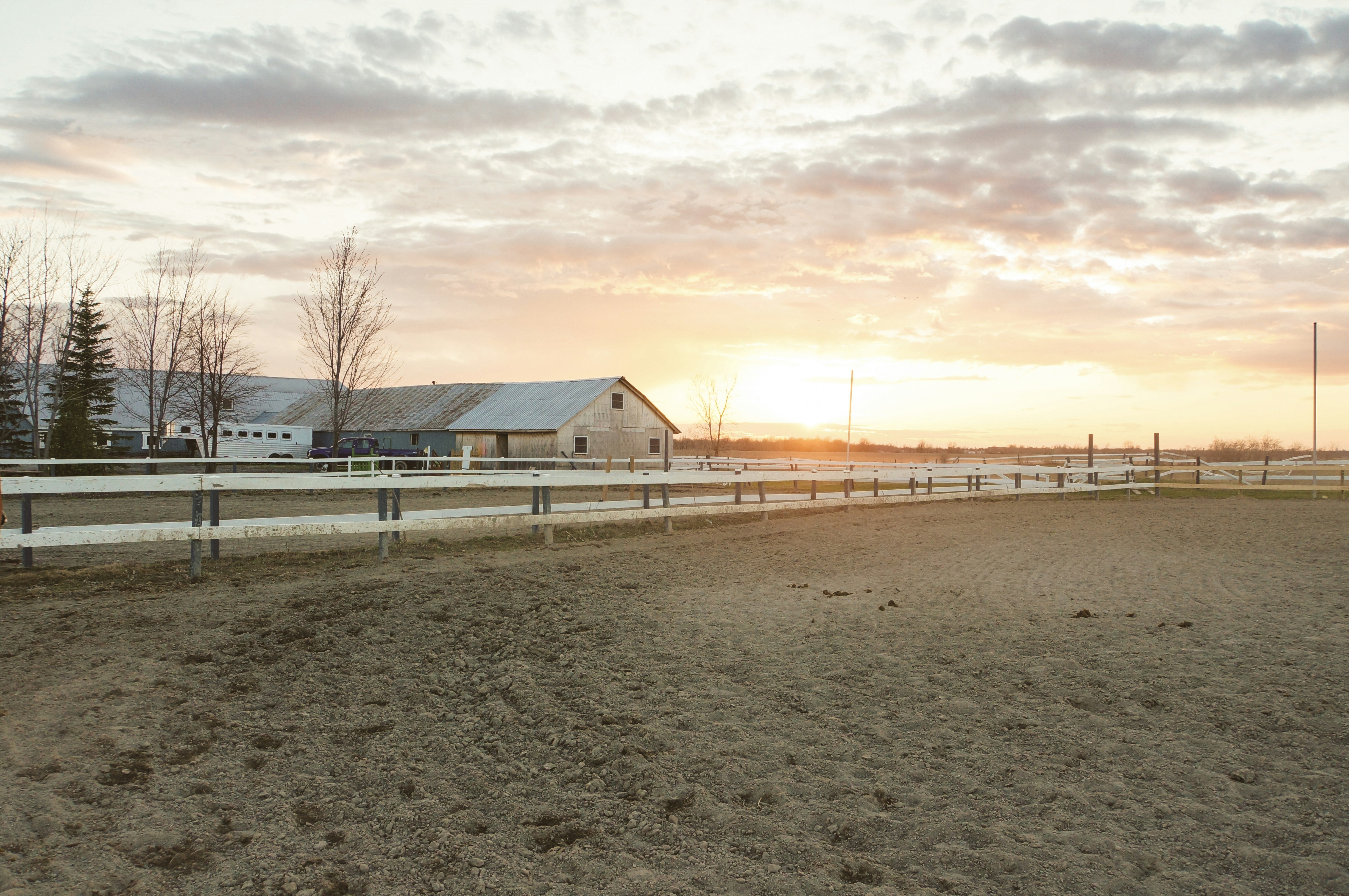 💰 The Investment Value of Views: Why Sneffels-Adjacent Horse Properties Command a Premium