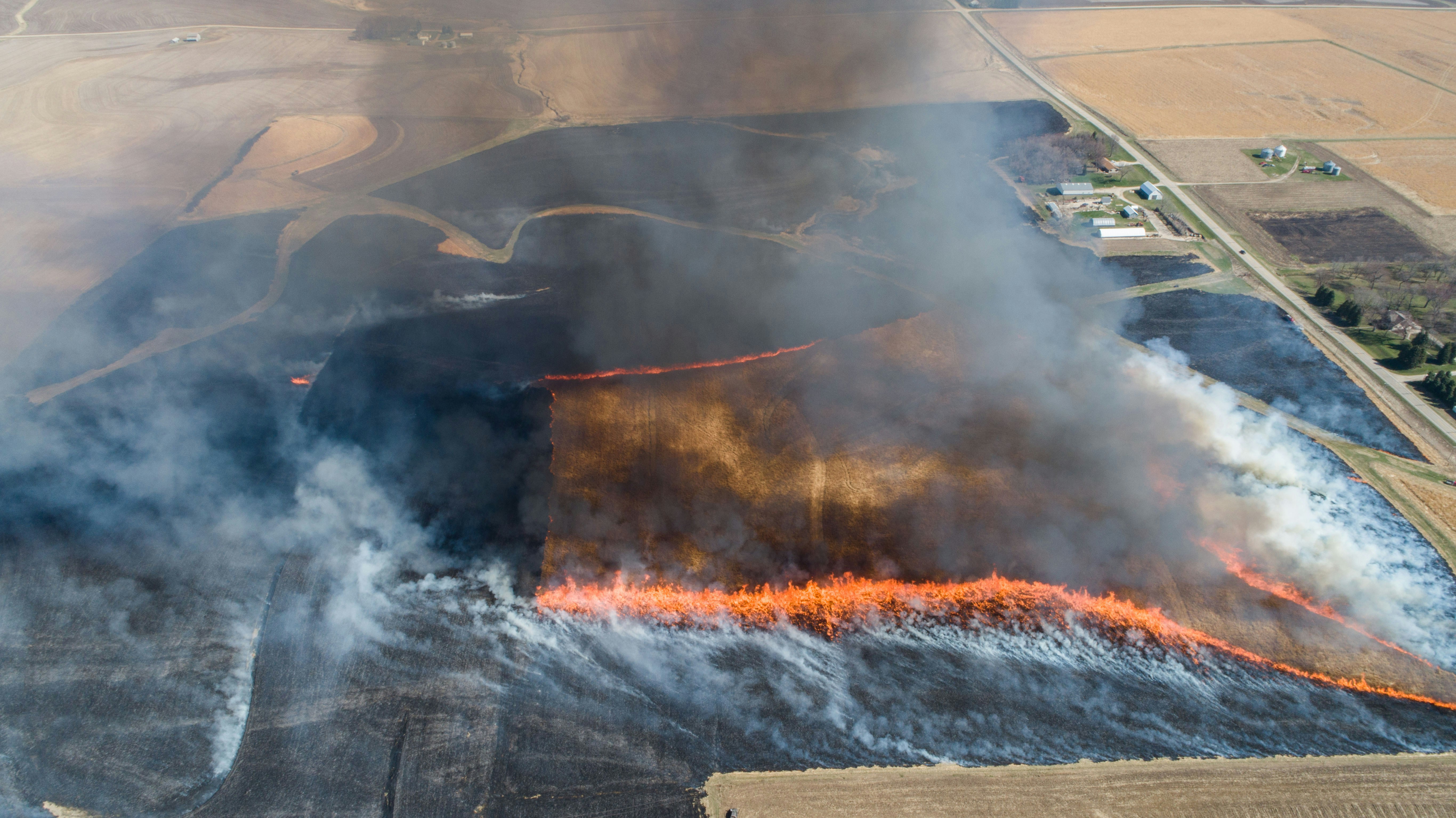 The February Reset: Why a Controlled Burn is Your Land’s Best Friend