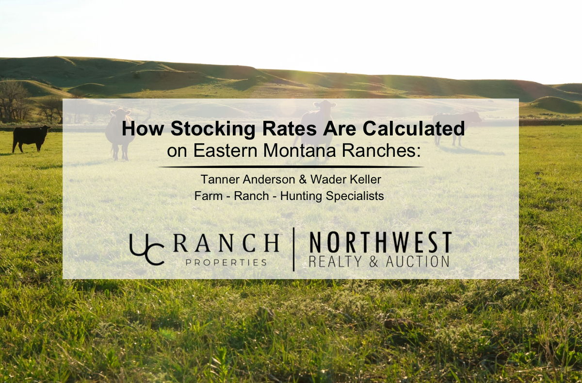 How Stocking Rates Are Calculated on Eastern Montana Ranches