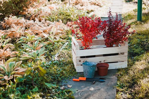 Spring Into Action: 5 Essential Steps for Preparing Your Landscape