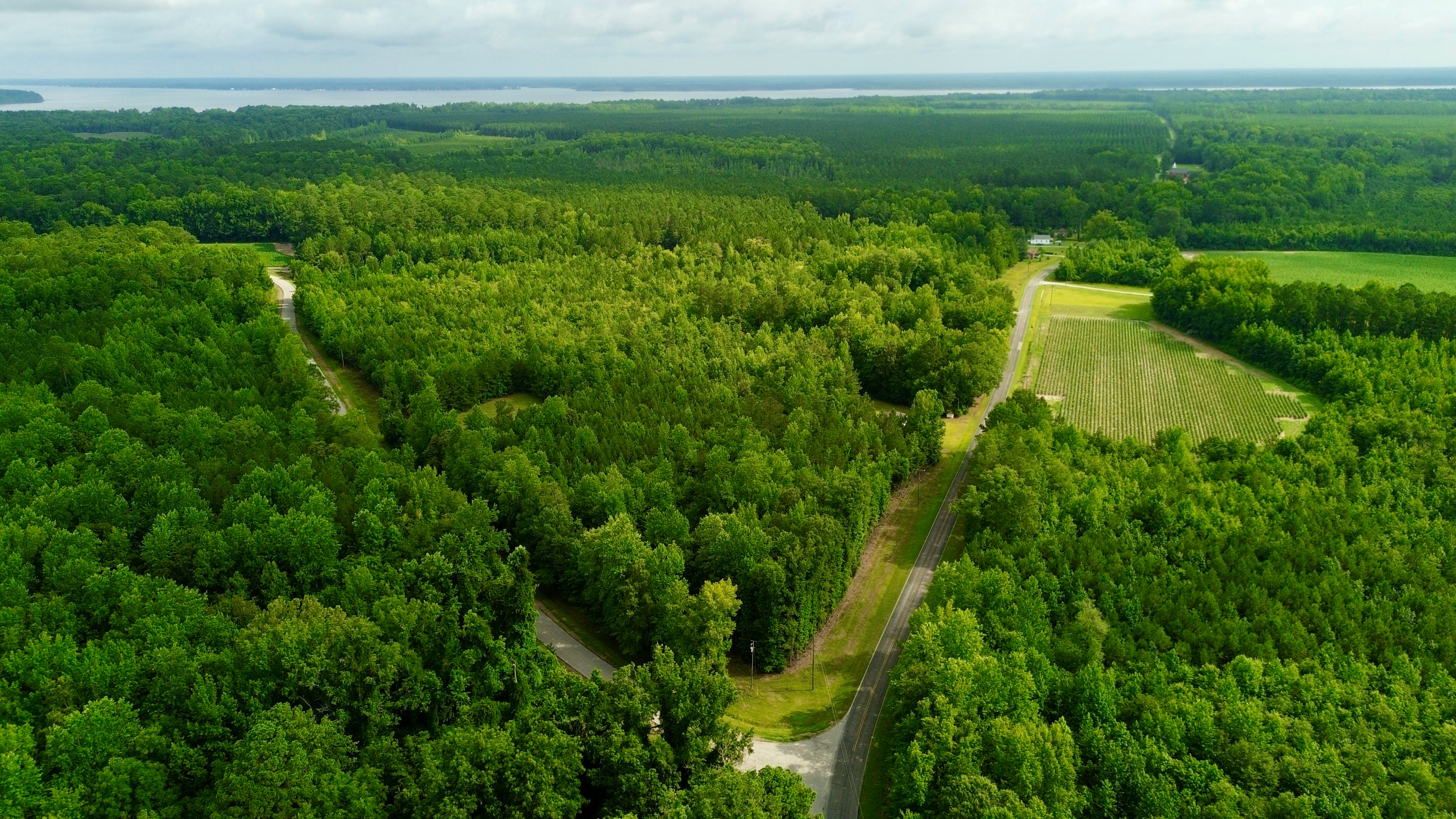 From Pasture to Profit: Preparing Agricultural Land for a Competitive Market