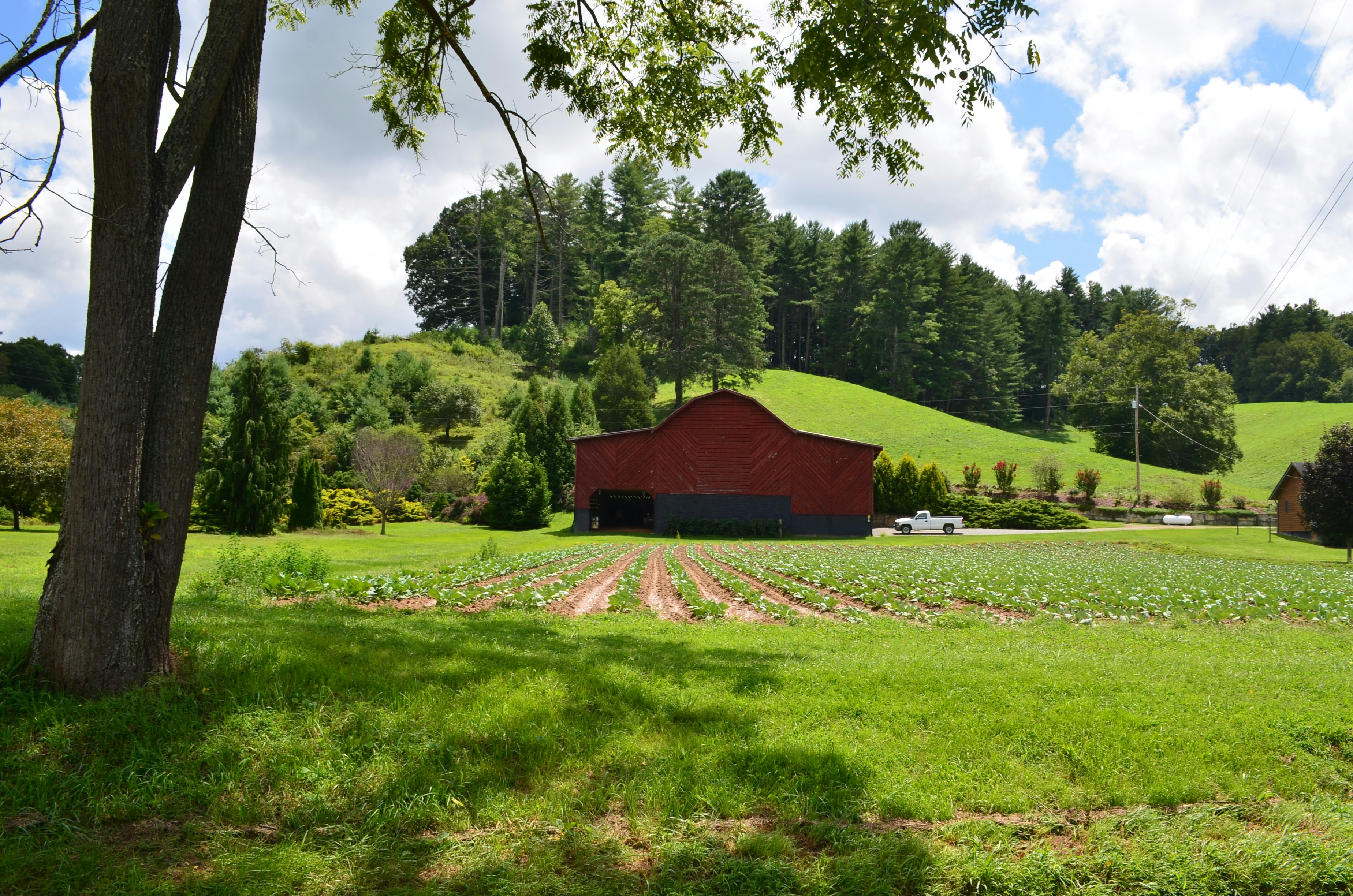 Passing the Torch: How to Prepare a Multi-Generational Southern Piedmont Farm for Sale