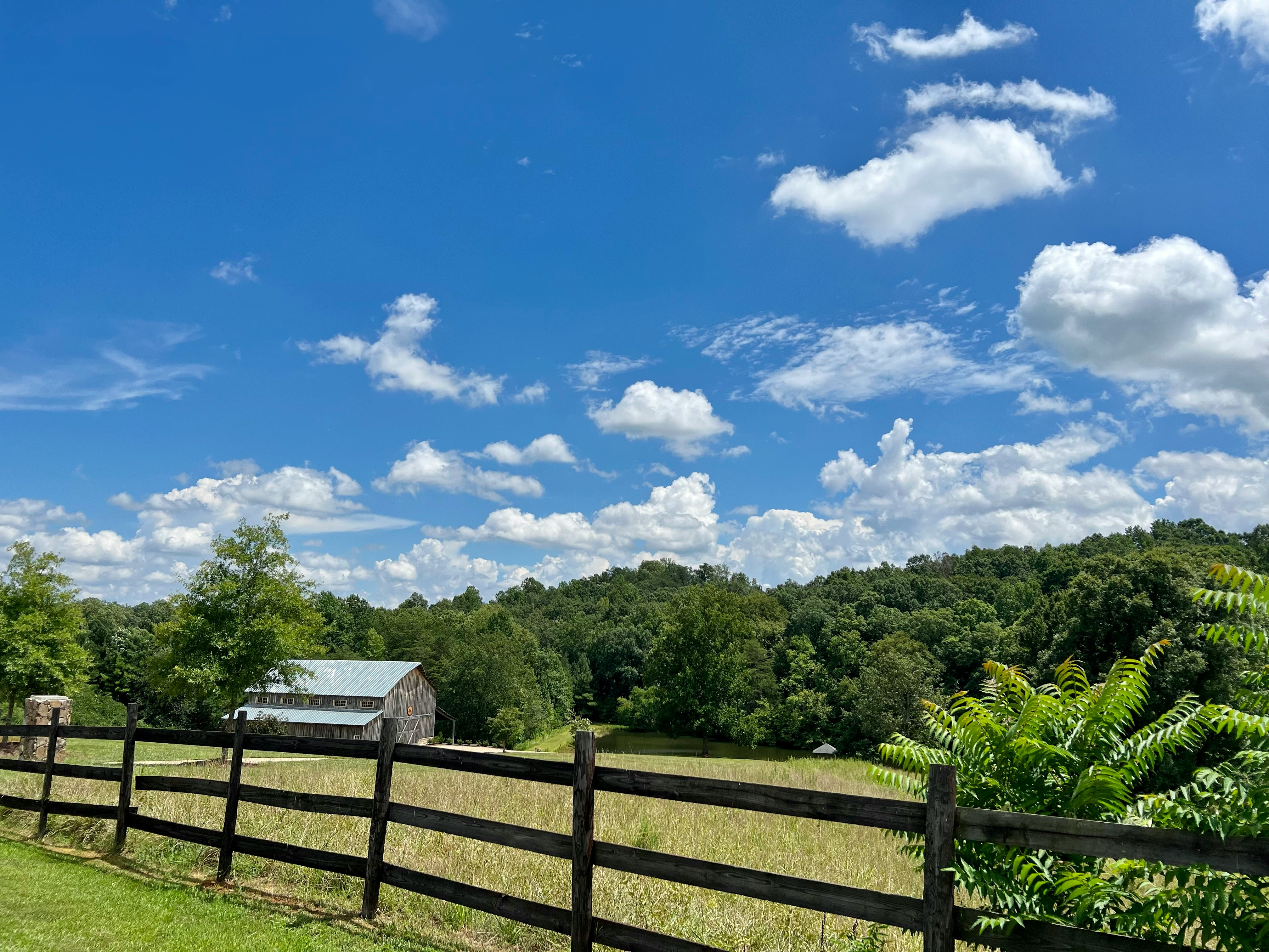 Navigating the New 2026 Farm Bill: What it Means for Star Landowners