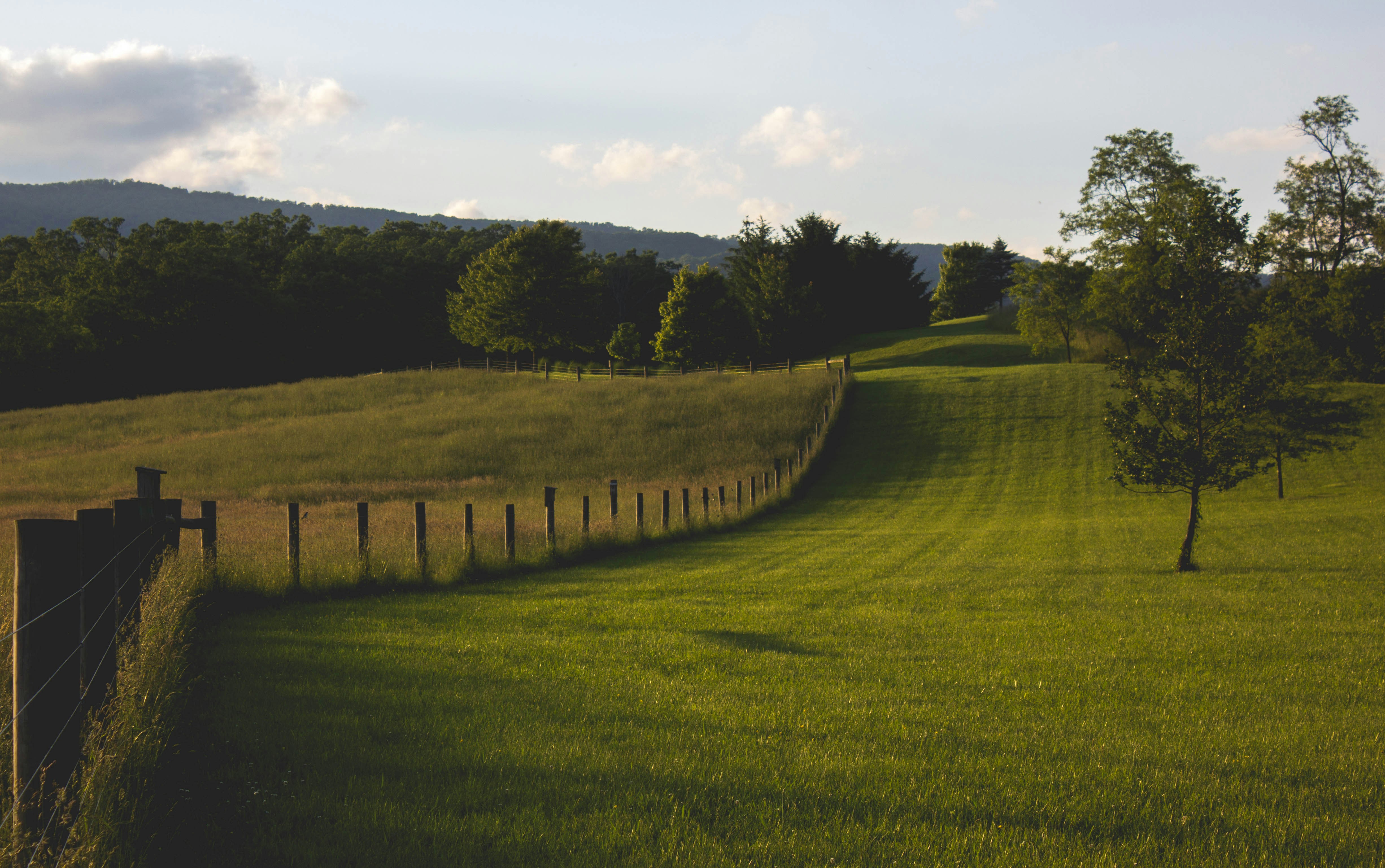 What Determines the Value of a Farm in Today’s Real Estate Market?