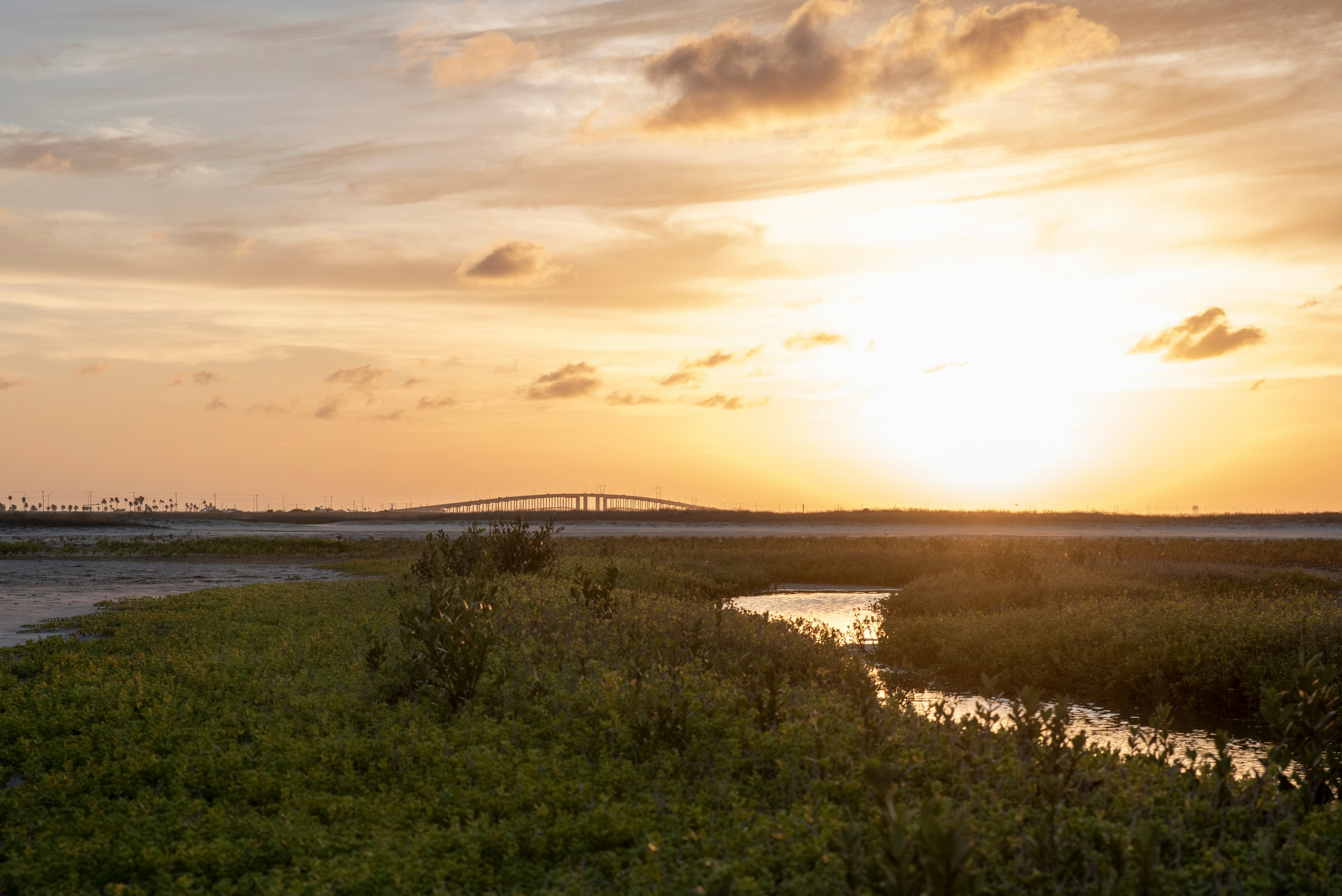 10 Reasons People Are Relocating to Corpus Christi, TX
