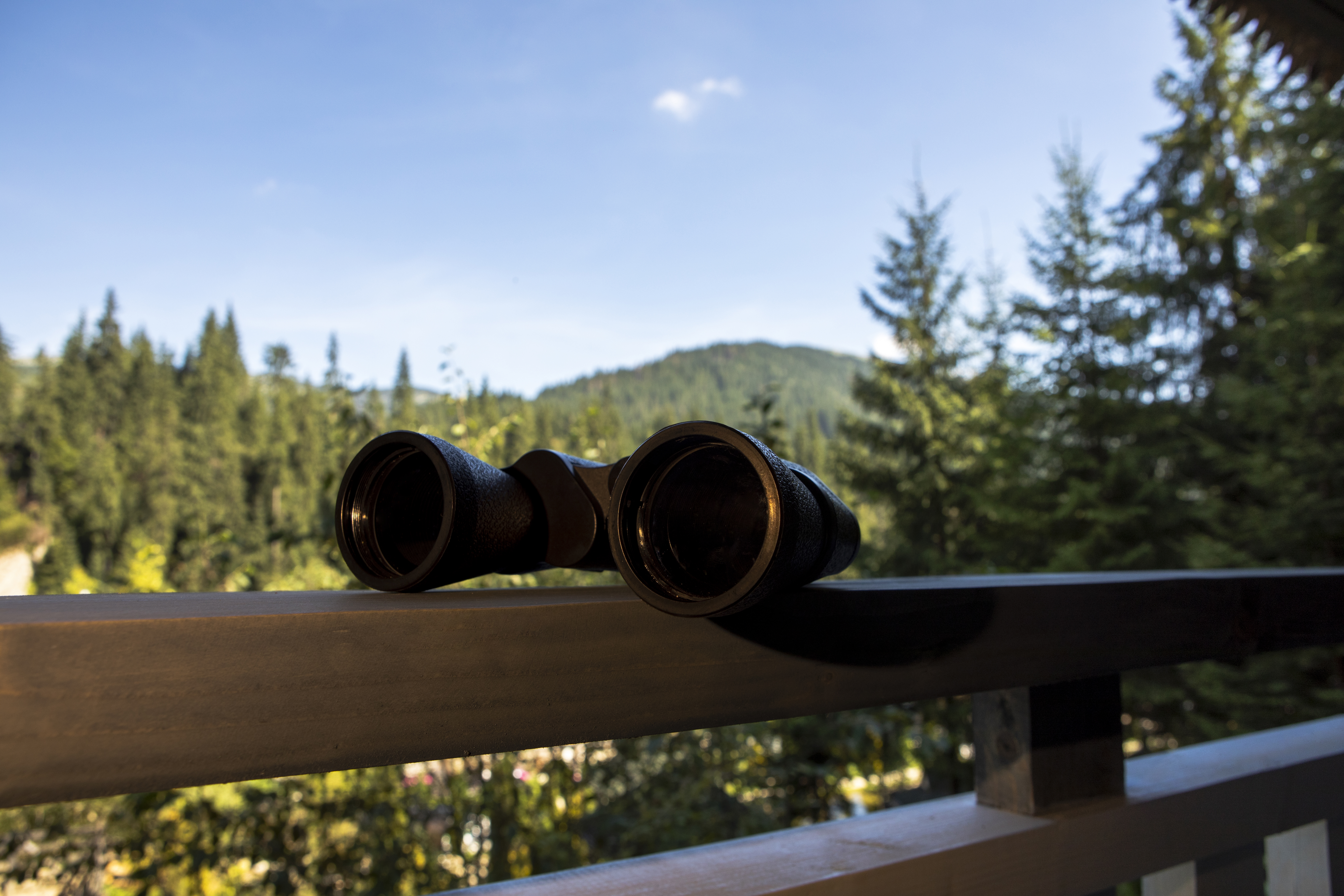 Ready to Sell Your Montana Hunting Land? Why Specialized Marketing Matters