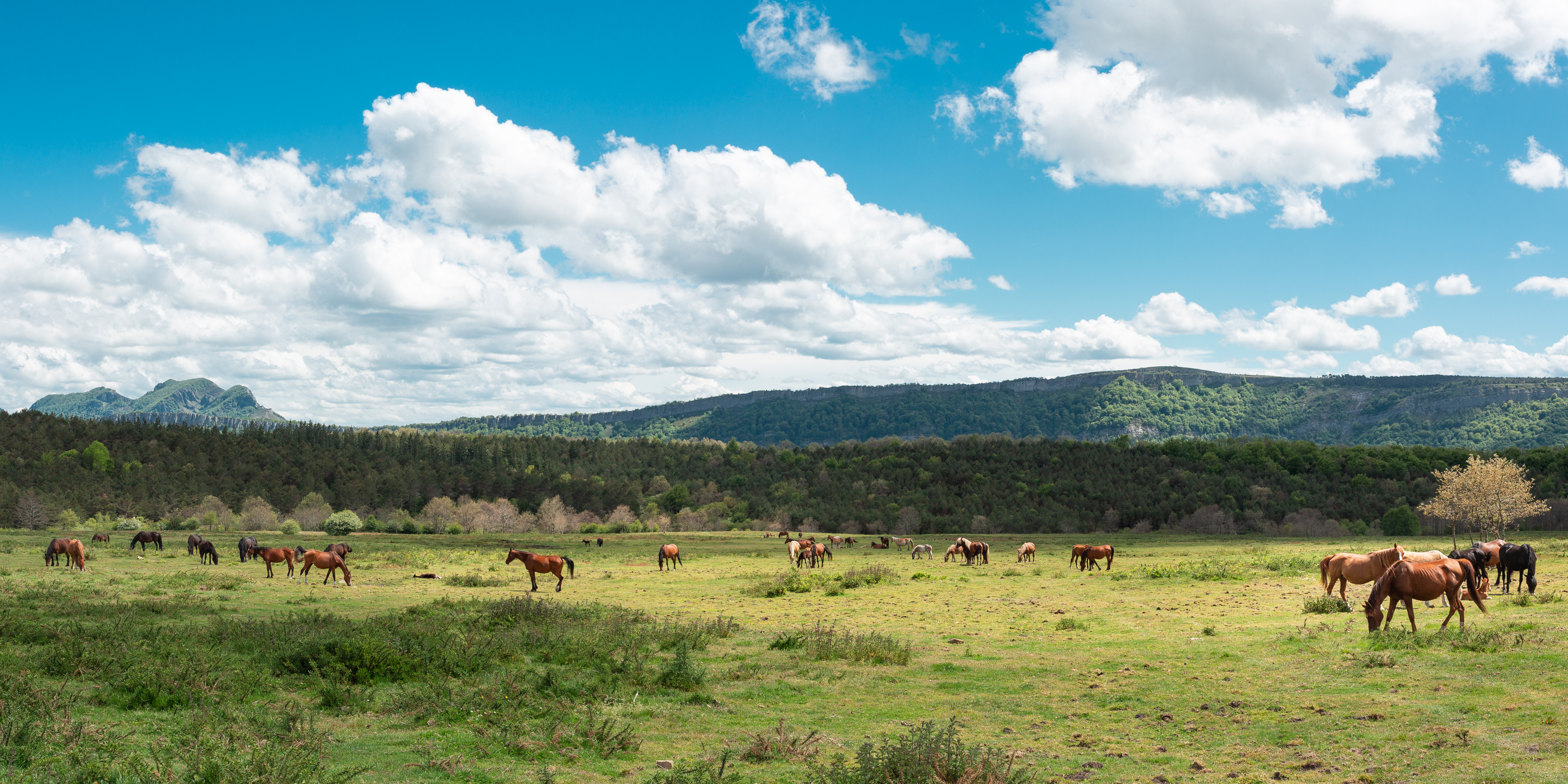 Thinking About Selling Your Montana Ranch? Start Here