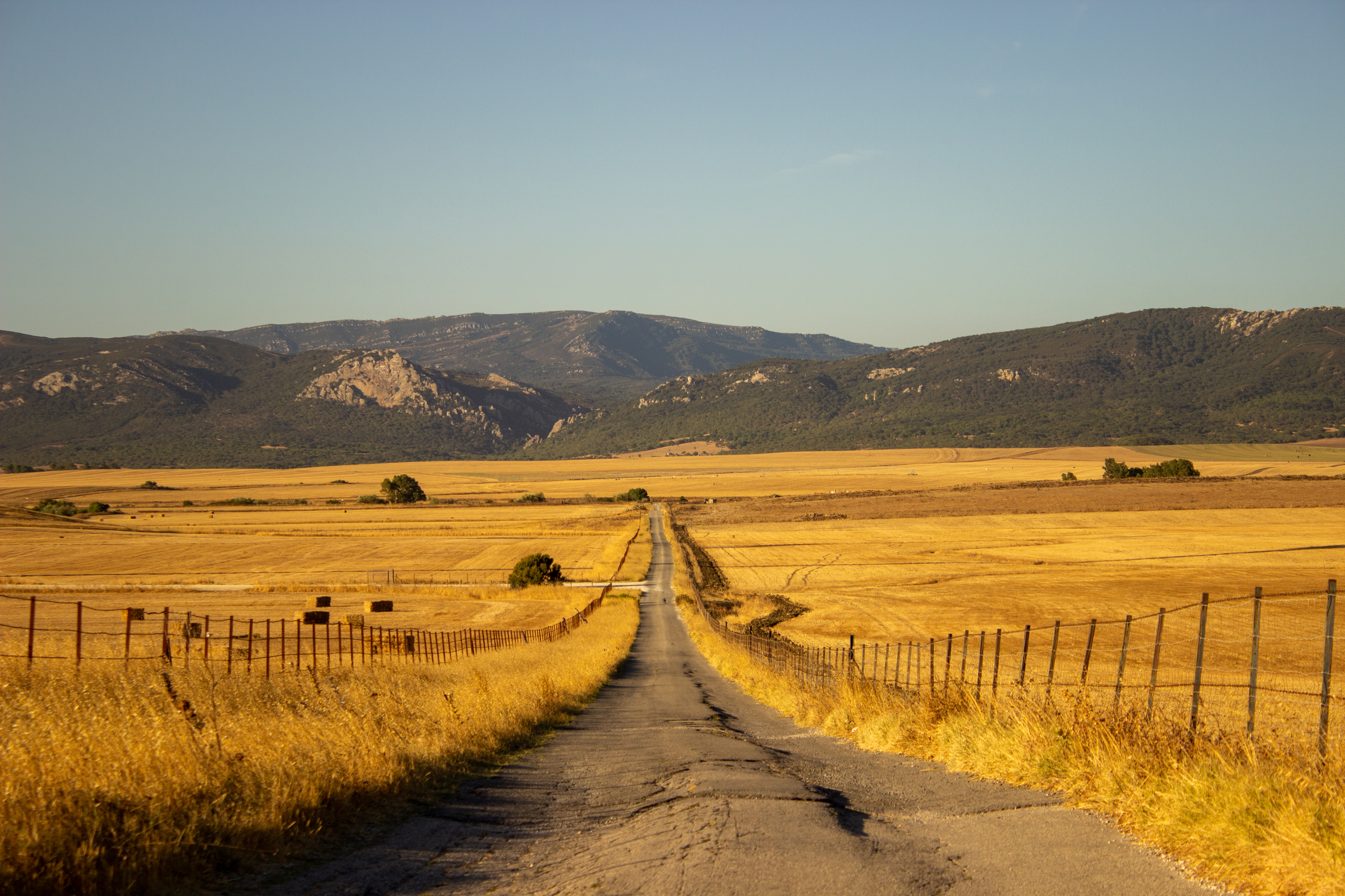 What Your Livingston Ranch Could Be Worth in Today’s Market