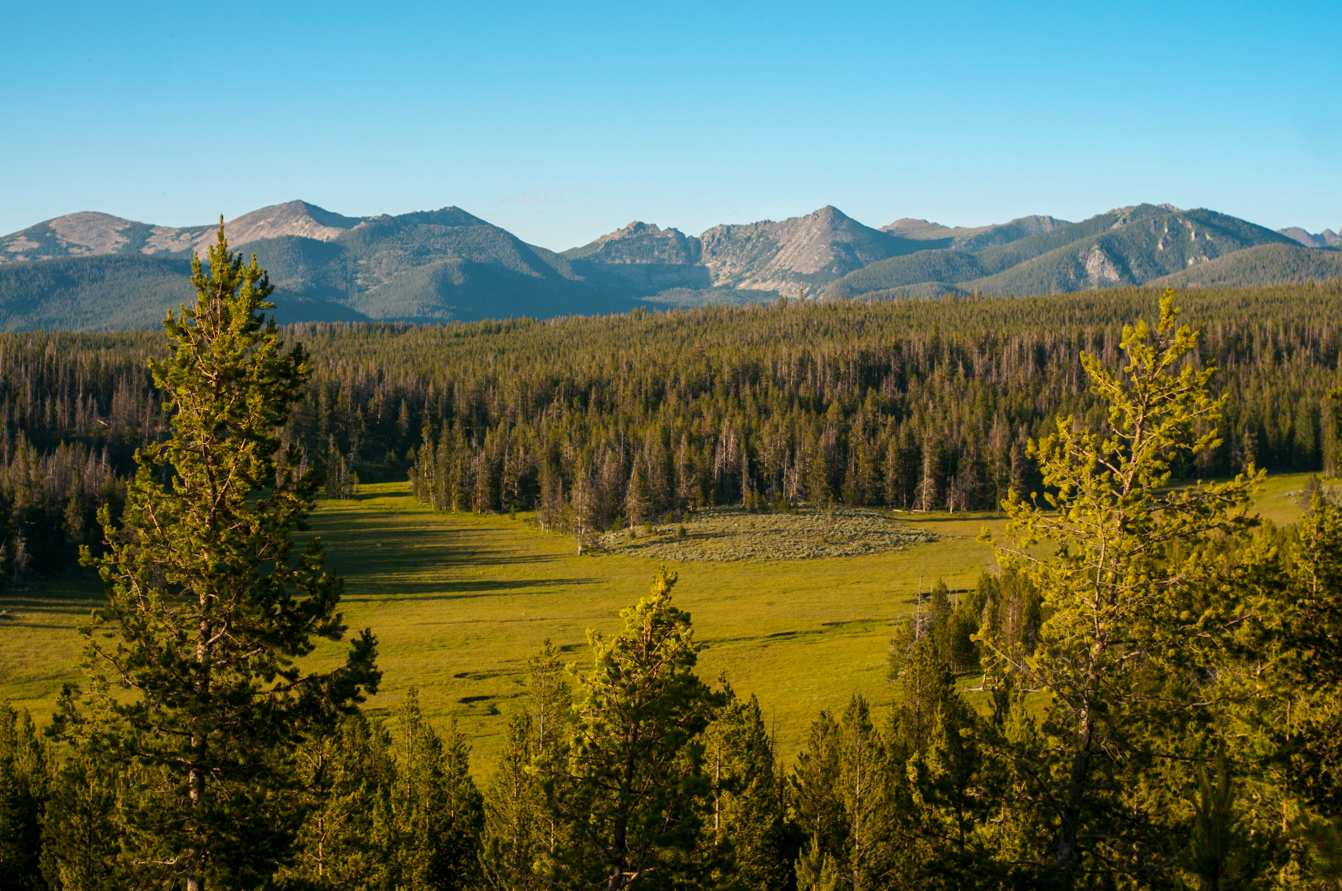 The Benefits of Owning Hunting Land in Montana: Privacy, Recreation, and Investment