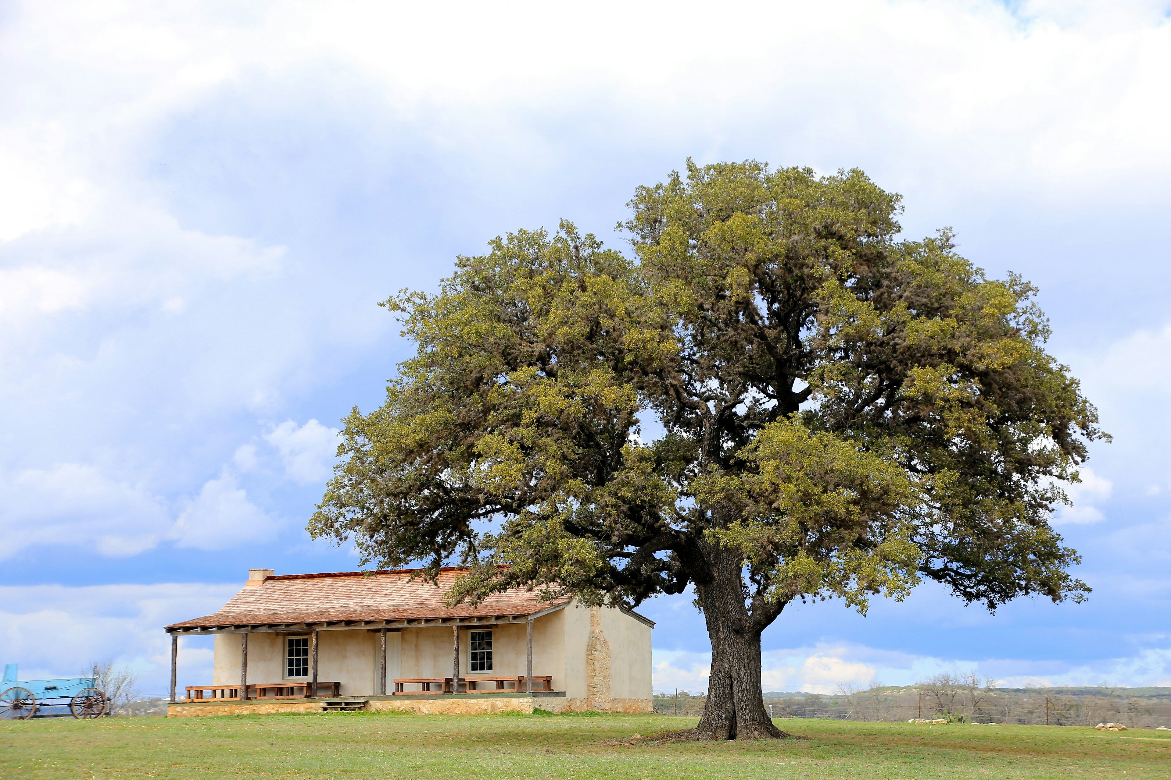What to Look for When Buying a Ranchette or Acreage in De Kalb, TX