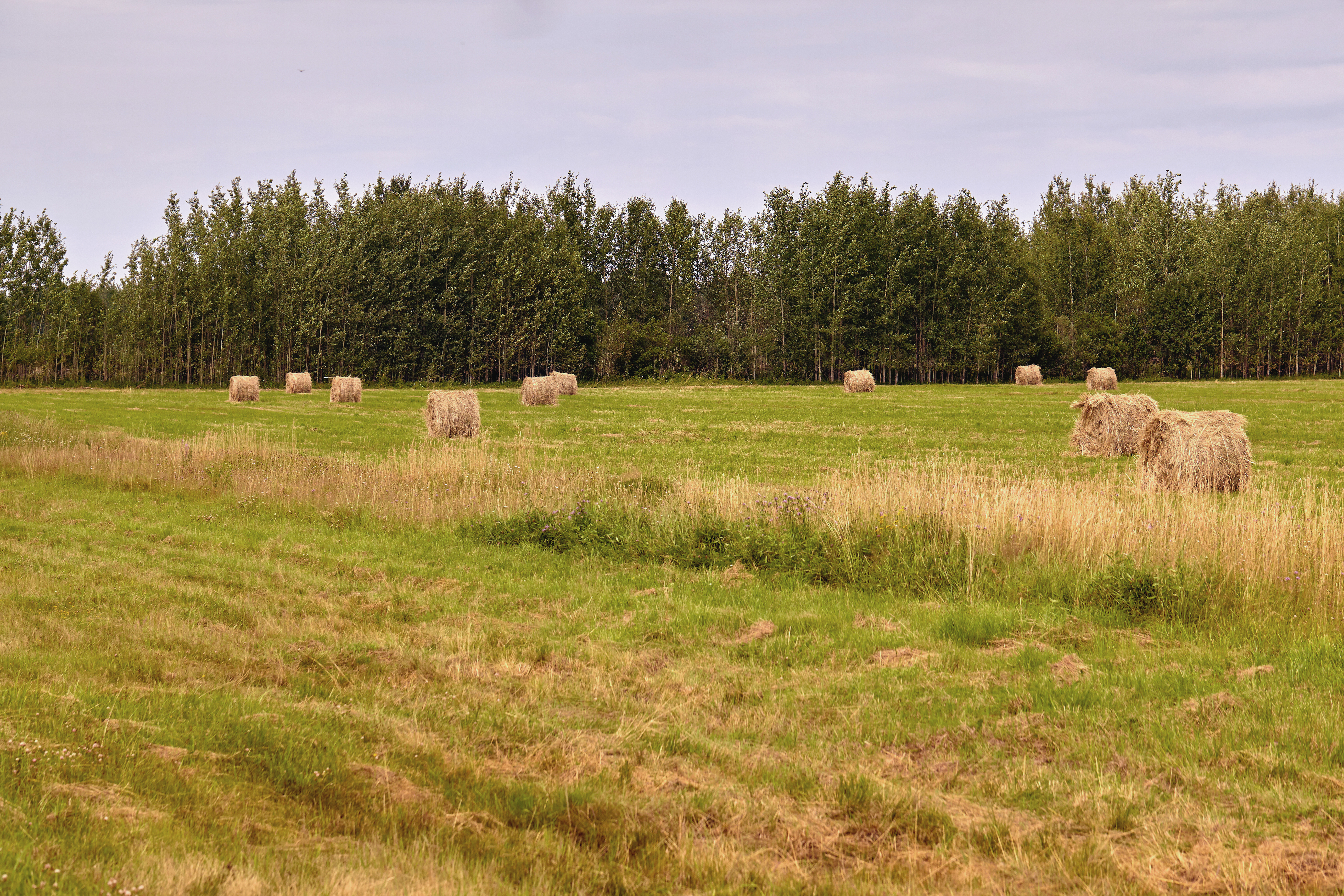 How to Turn Ohio Farmland Into a Generational Family Legacy