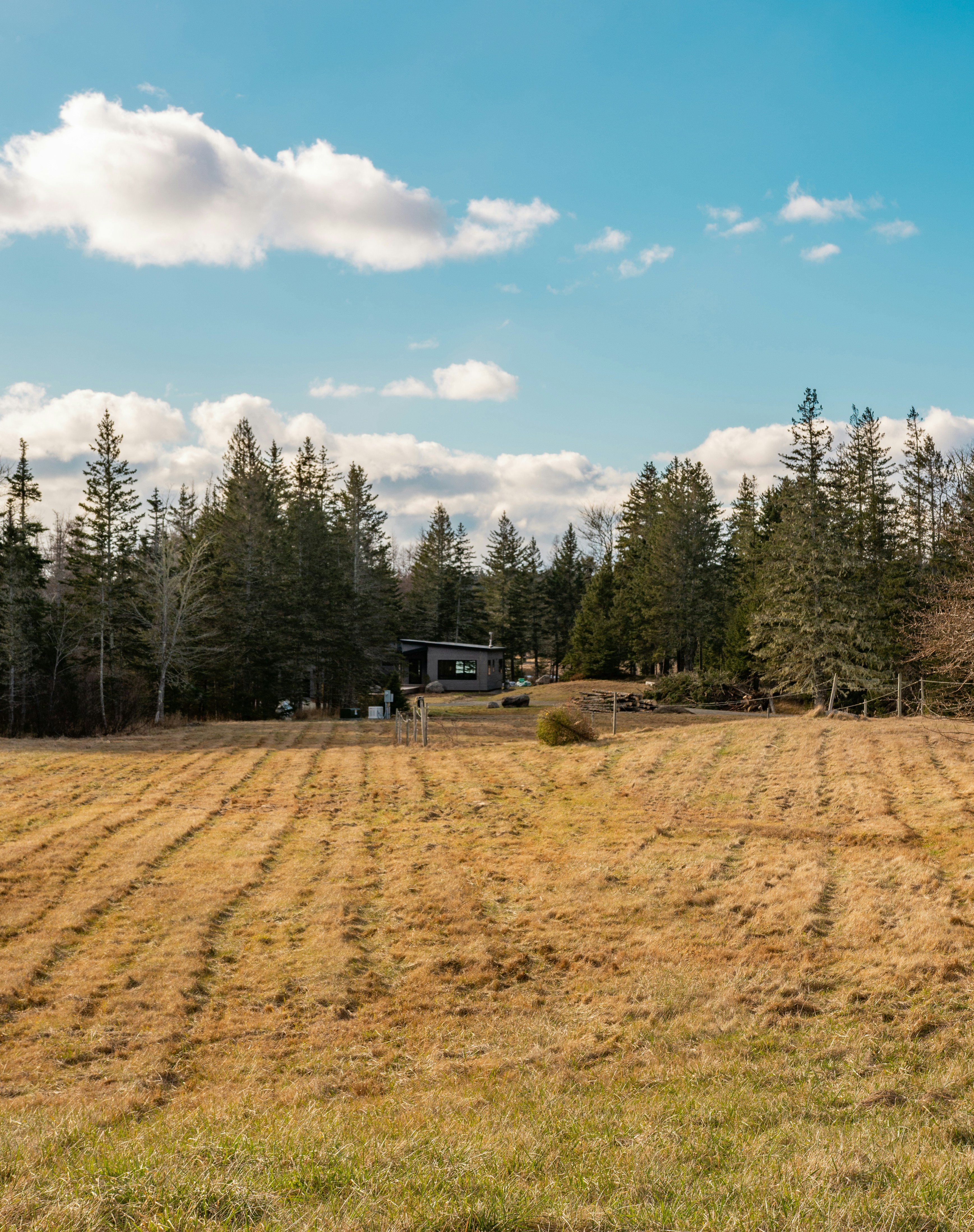 The Timeless Appeal of Log Homes in Ohio’s Rural Countryside