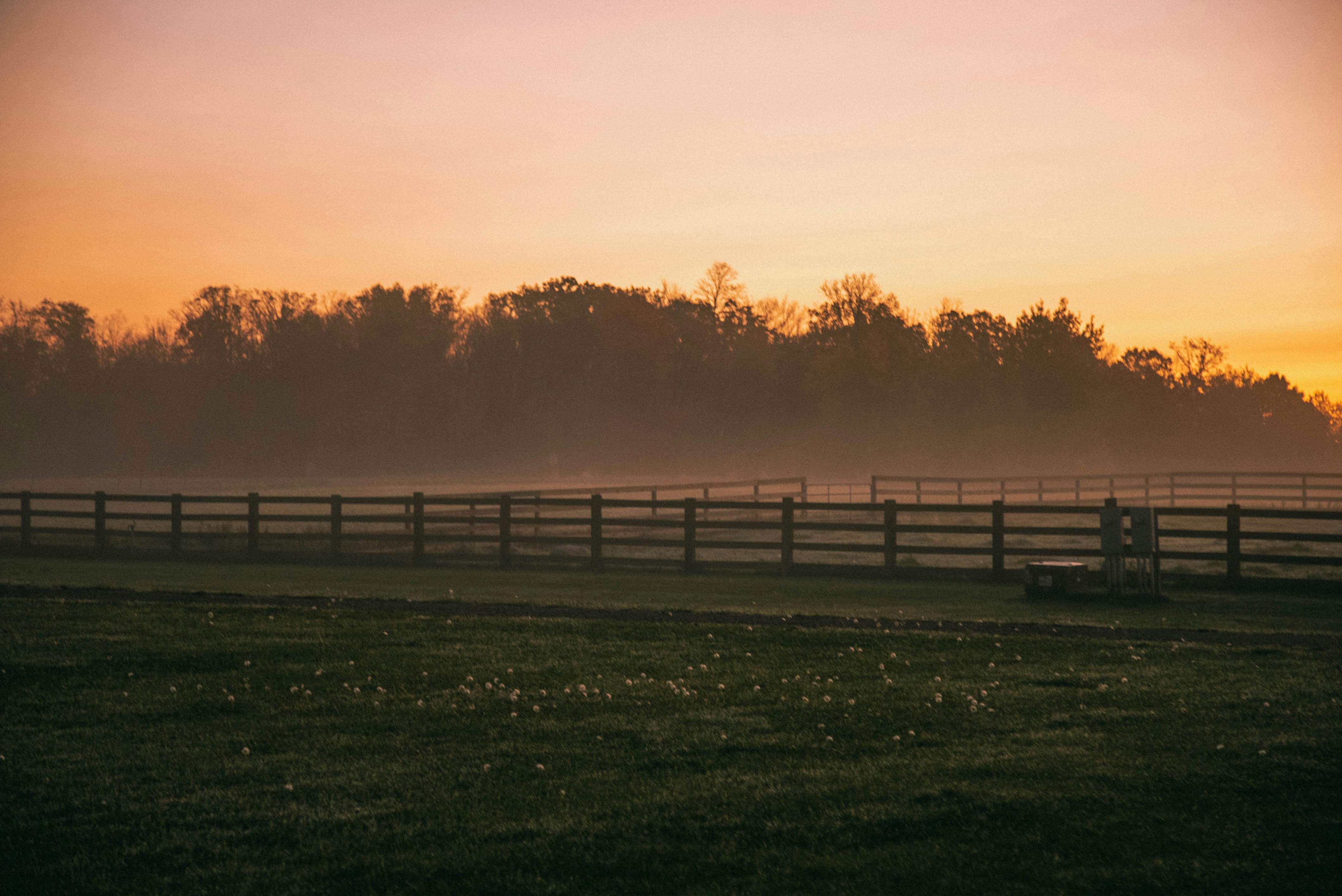 Top Benefits of Owning an Acreage Property in Southeast Minnesota