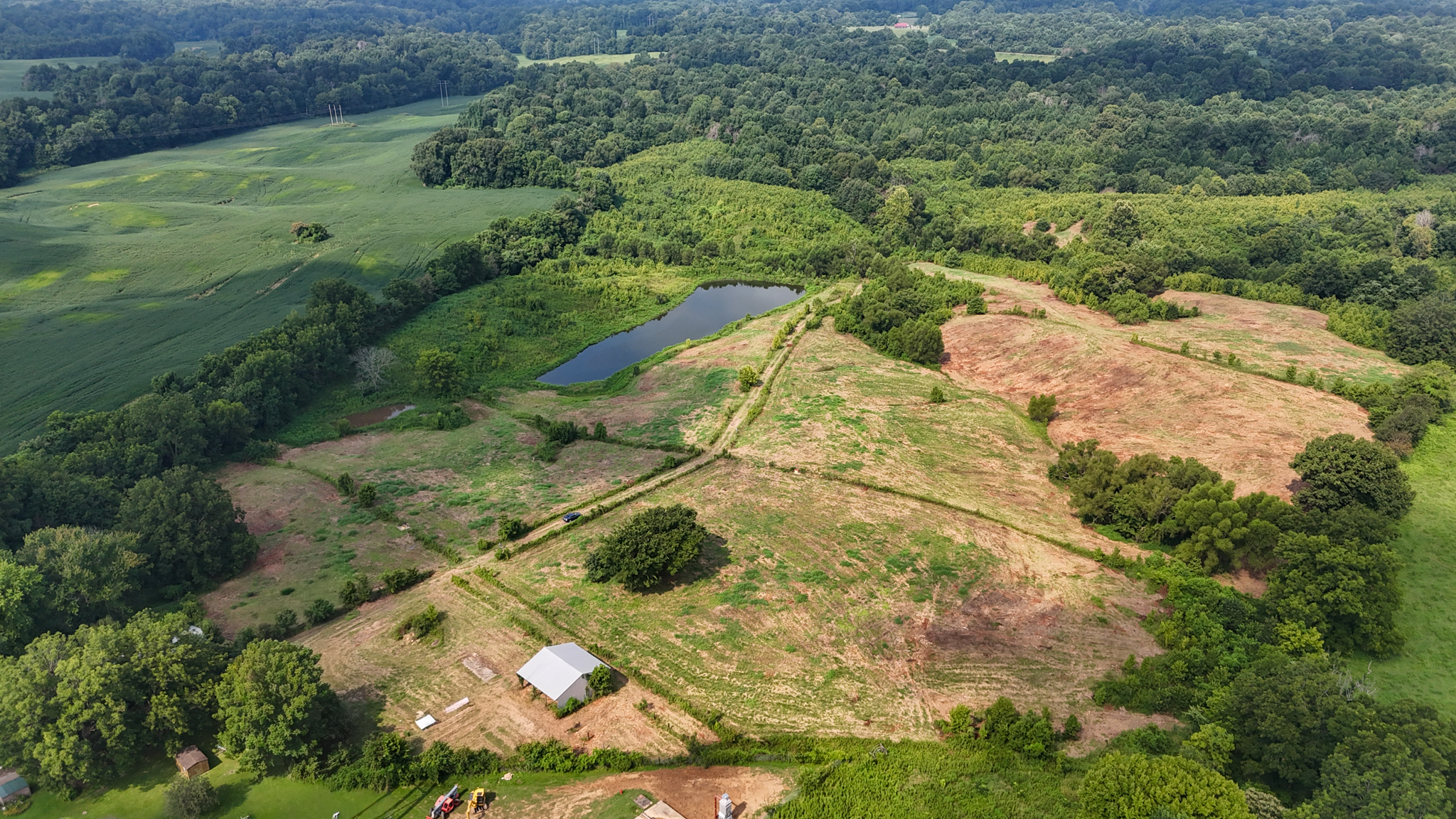 Late-Summer Conservation: Managing Timber, Wildlife, and Cattle on 100-Acre West Tennessee Ranches