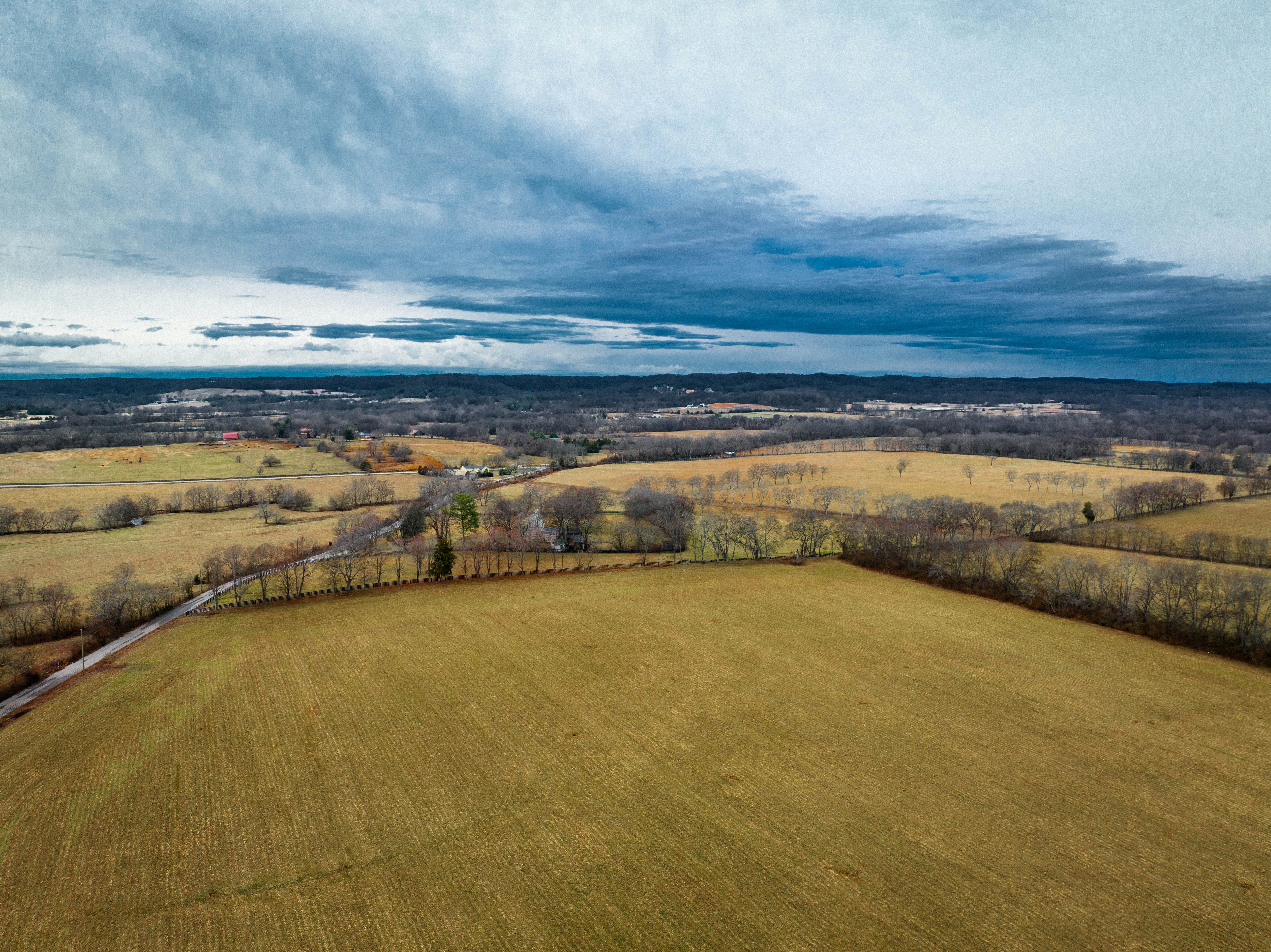 Dividing vs. Selling Whole: What West Tennessee Landowners Need to Know Before Listing Large Parcels