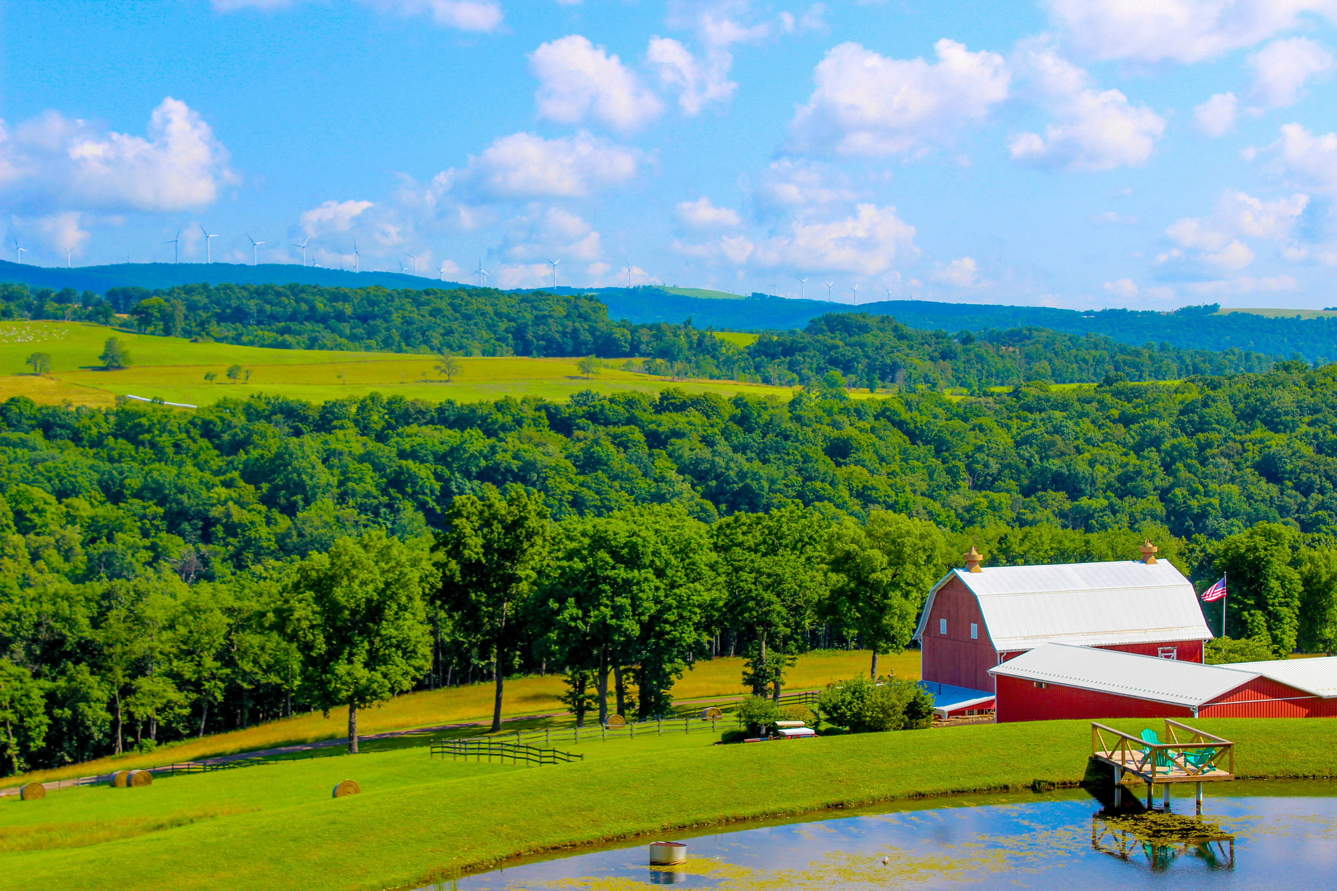 Starting or Expanding Your Livestock Operation: What to Look for in a West Tennessee Cattle Farm