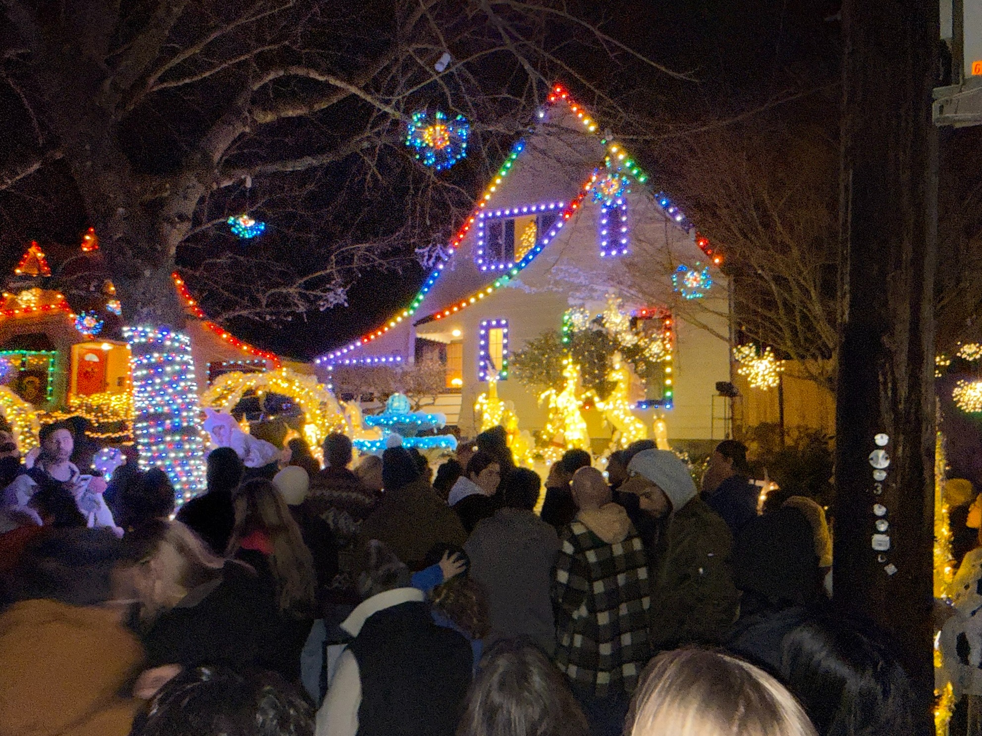 Christmas lights in a Portland neighborhood