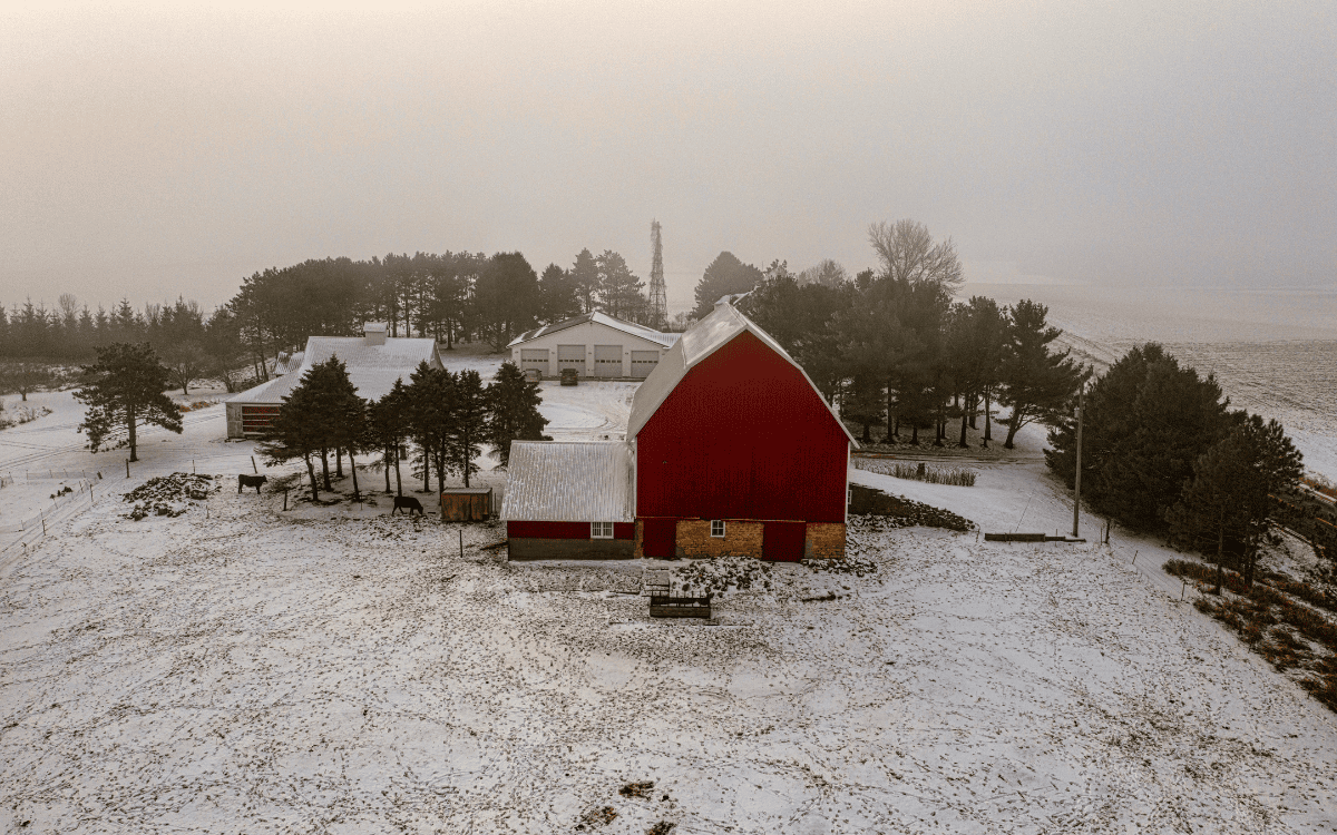 Winter Ranch and Farm Management in New Mexico | Burton Realty & Auction