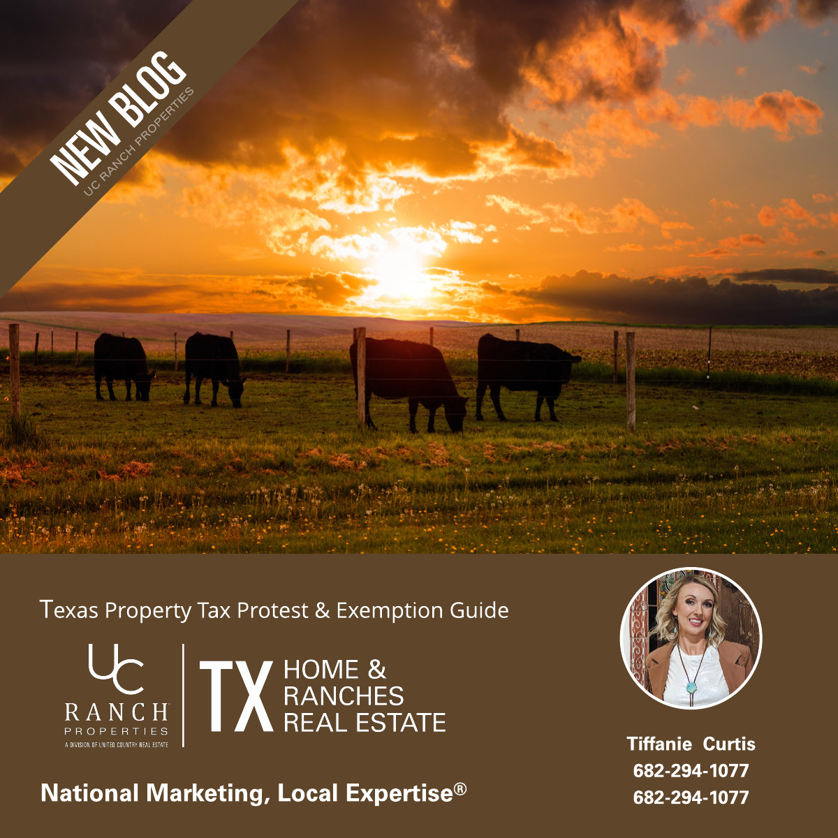 How to Protest Your Property Taxes and Claim Exemptions in Texas | TX ...