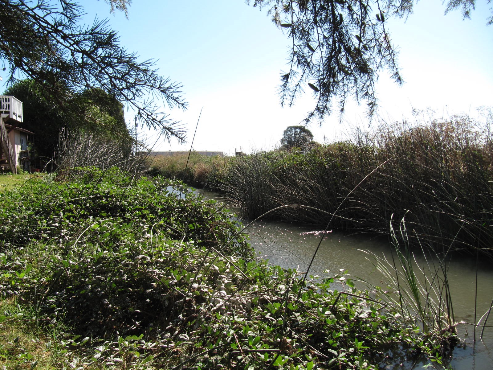 Northern California Waterfront Properties For Sale