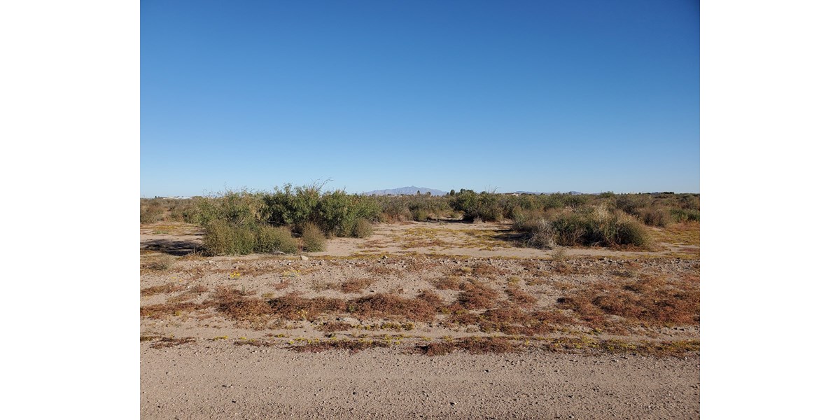 Acreage for sale in Deming NM