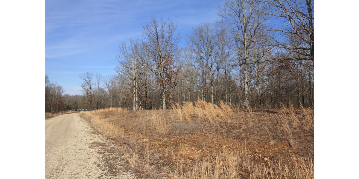 Wappapello Mo Residential Real Estate for sale