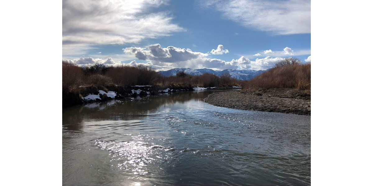RIVERFRONT/RECREATIONAL LAND WATER RIGHTS FOR SALE SMITH, NV