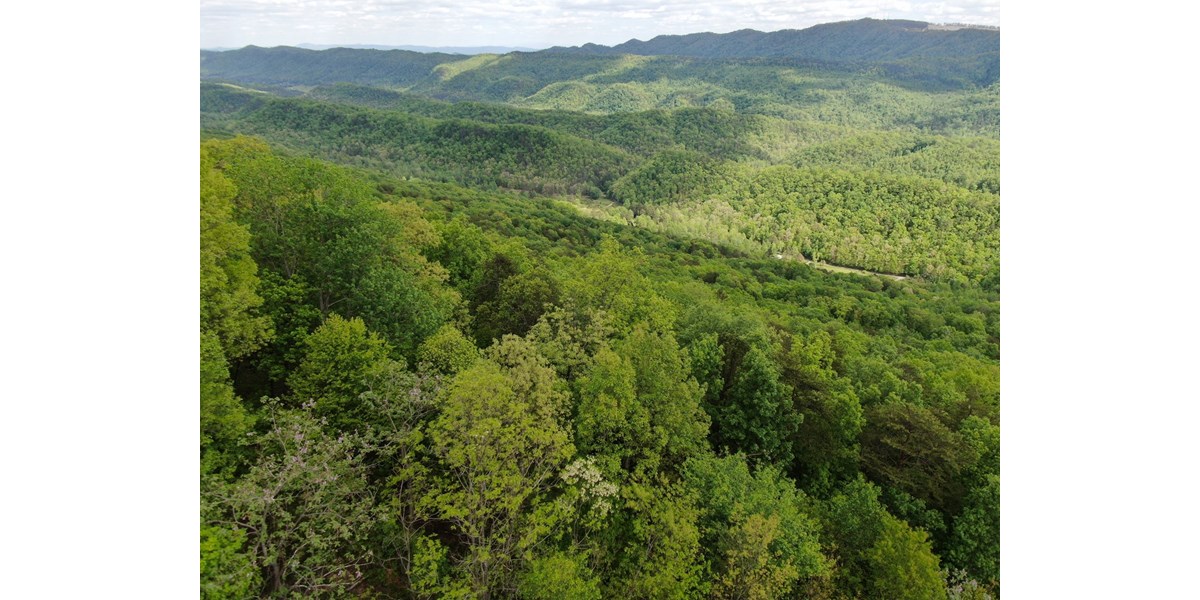 EAST TENNESSEE MOUNTAIN PROPERTY FOR SALE MOORESBURG TN