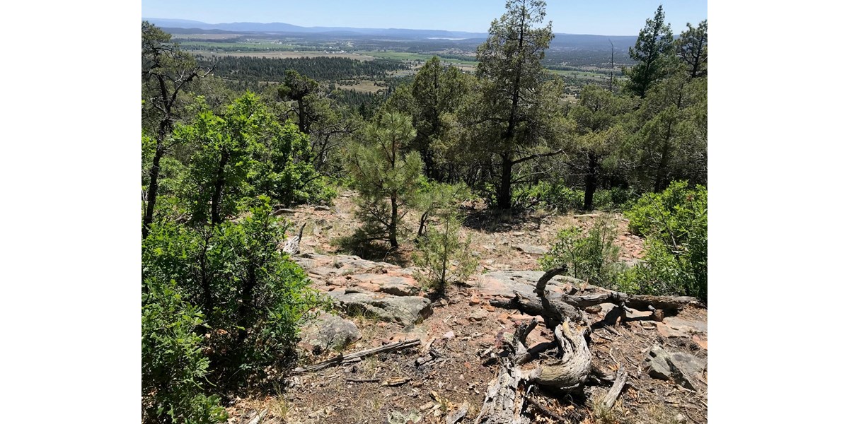 Northern NM Mountain Land for Sale Real Estate Near Chama NM