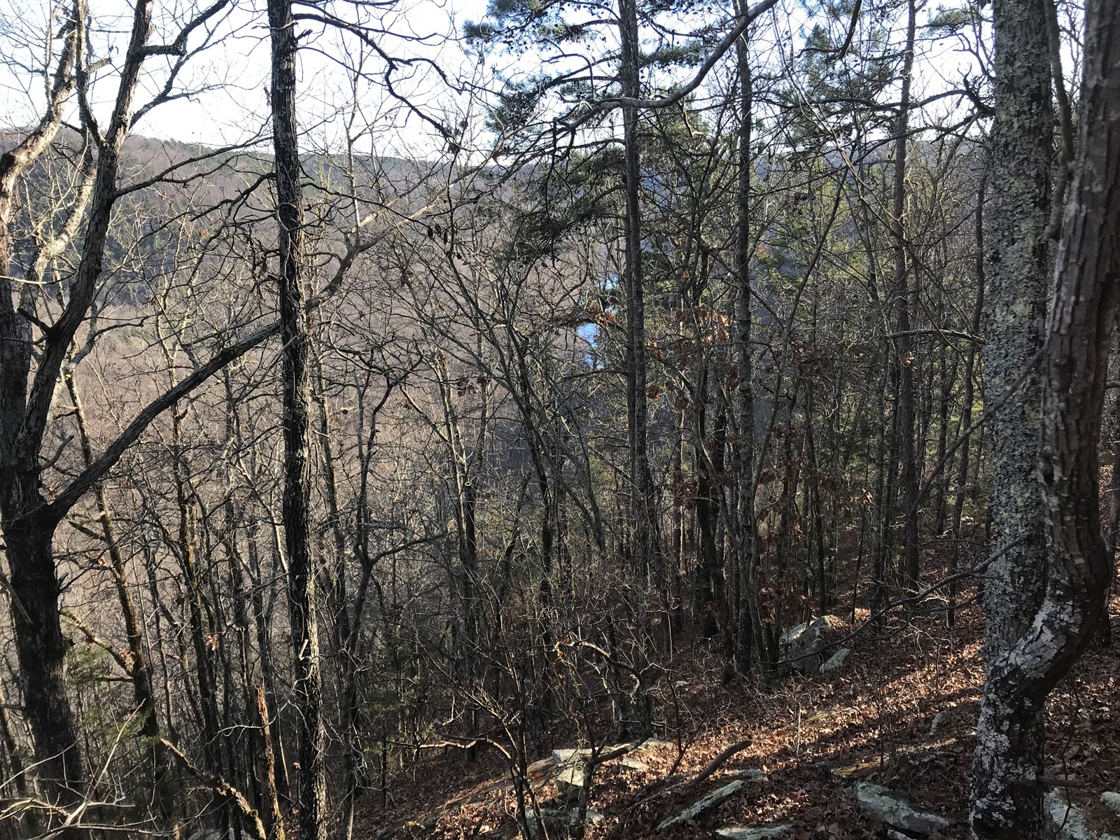 ARKANSAS LAND FOR SALE WITH LITTLE RED RIVER VIEWS