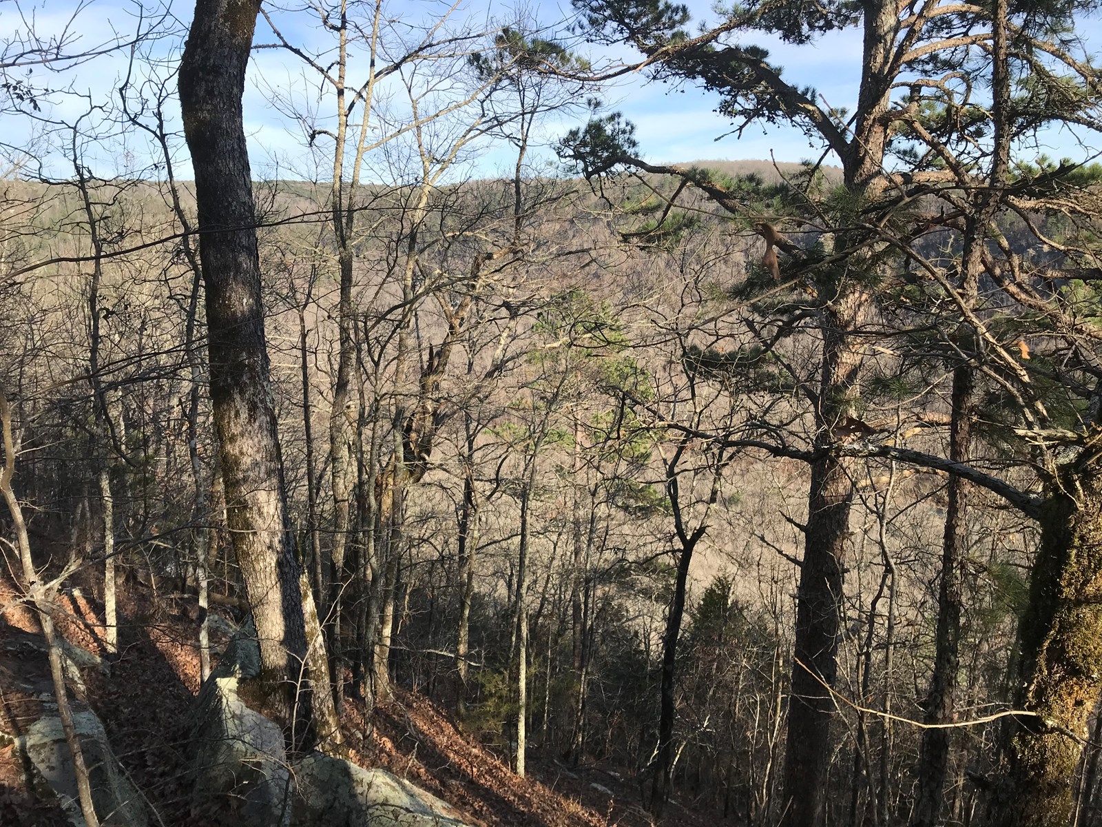 Arkansas Land for Sale with Little Red River Views