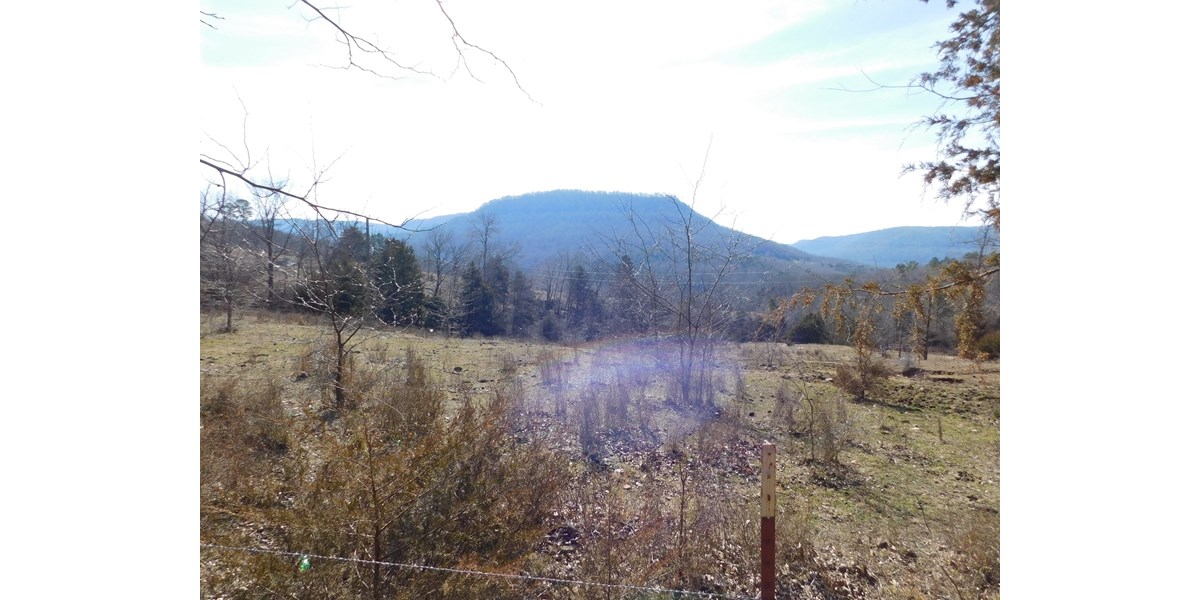 NEWTON COUNTY SHOP CREEK LAND FOR SALE PARTHENON VALLEY