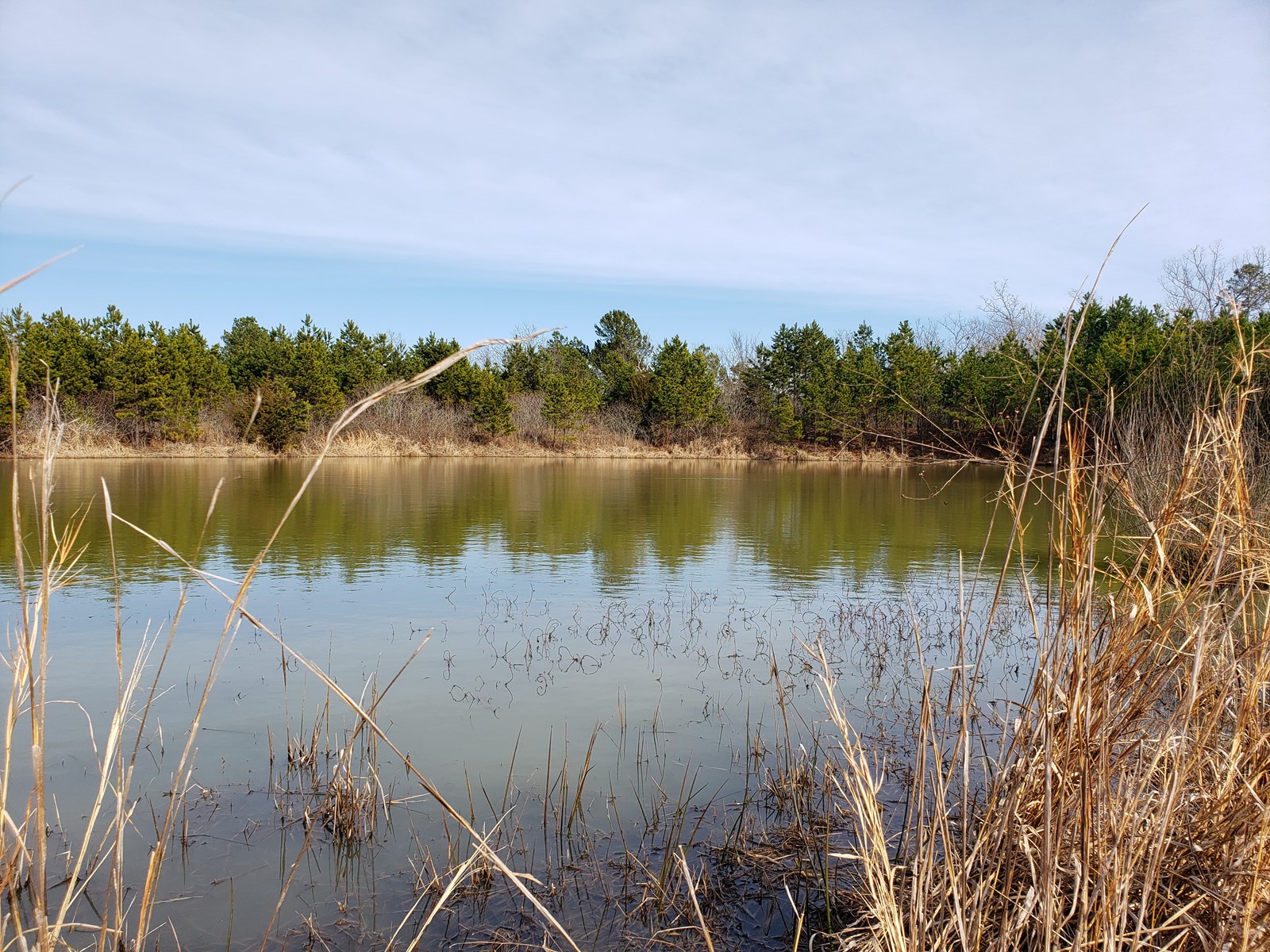 High-End Off-Grid Homes With Private Waterfalls photo