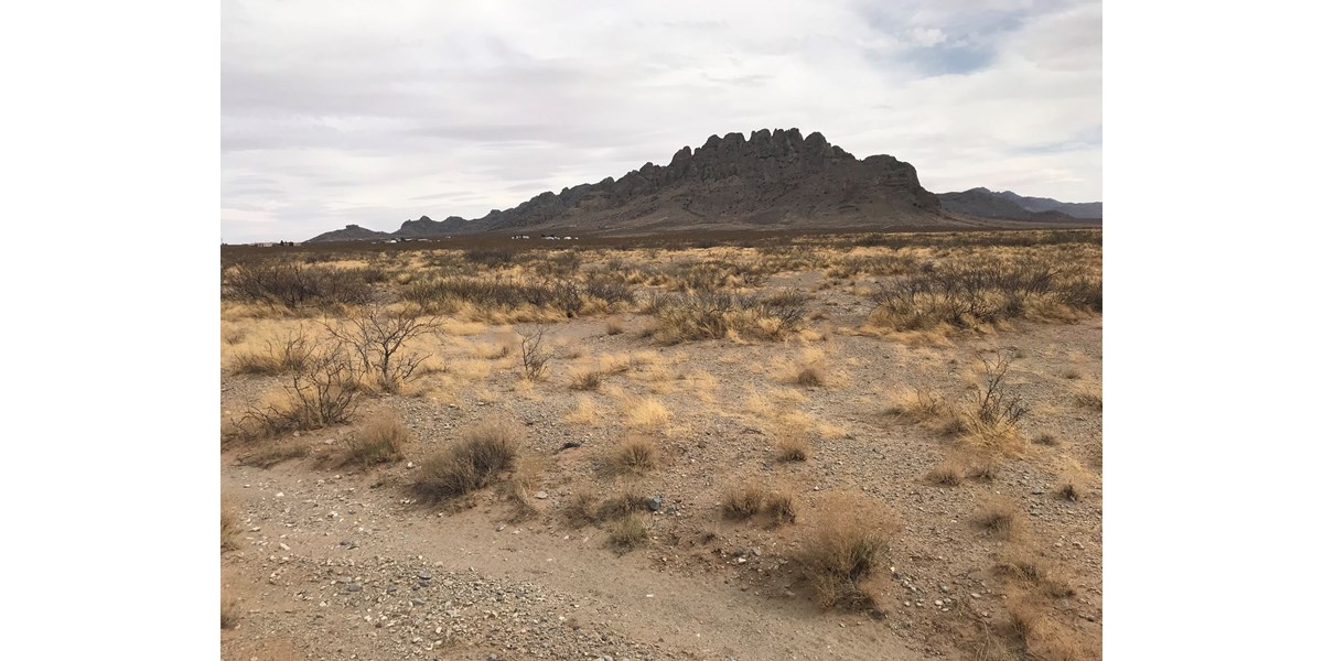 Land for Sale in Deming NM