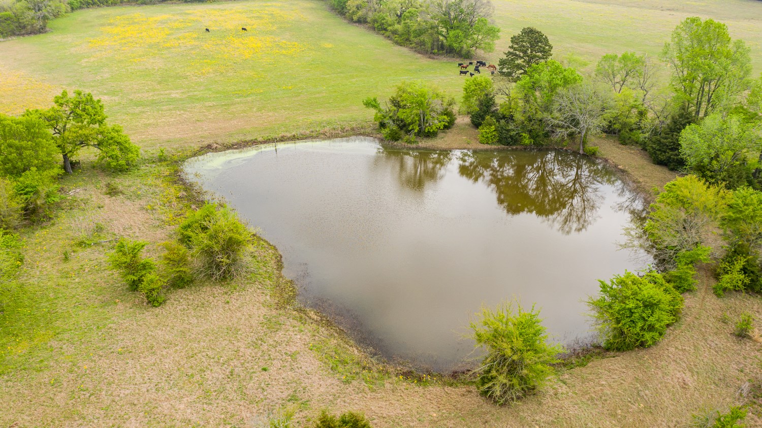PASTURE & HUNTING LAND FOR SALE FRANKSTON TX ANDERSON COUNTY