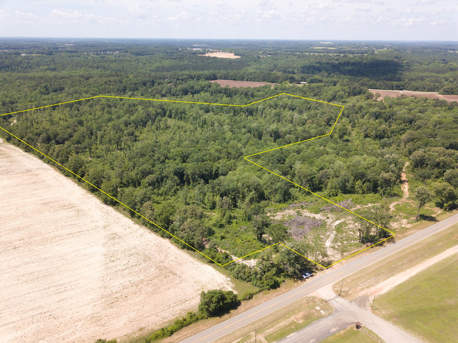 56 Acres Of Land For Sale New Brockton, Al