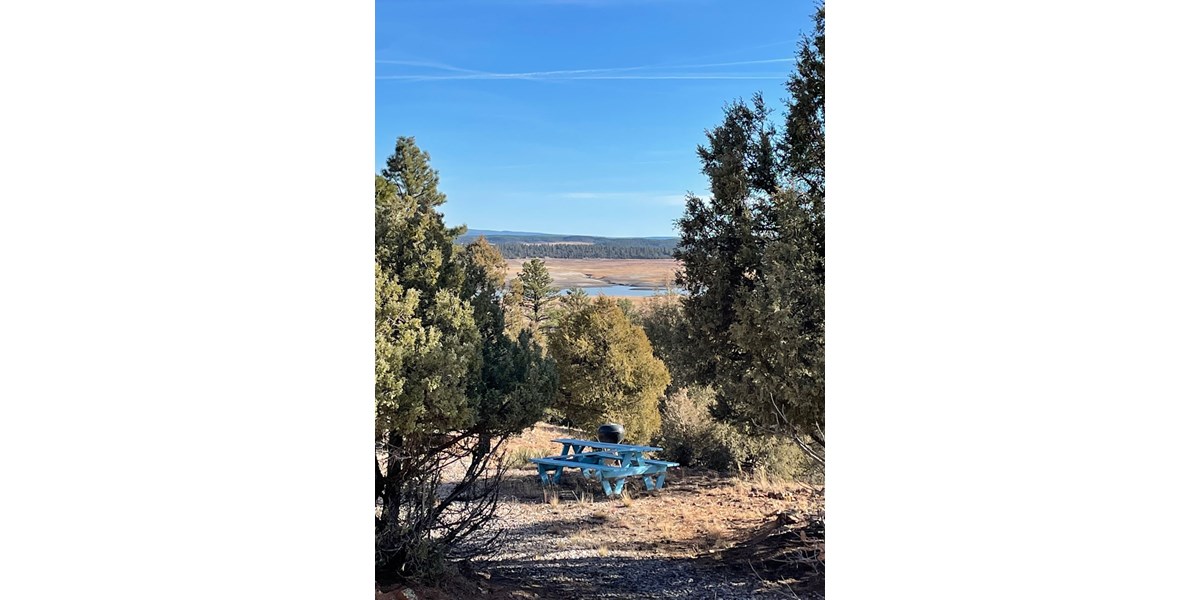 Heron Lake Property for Sale with Lake View near Chama NM