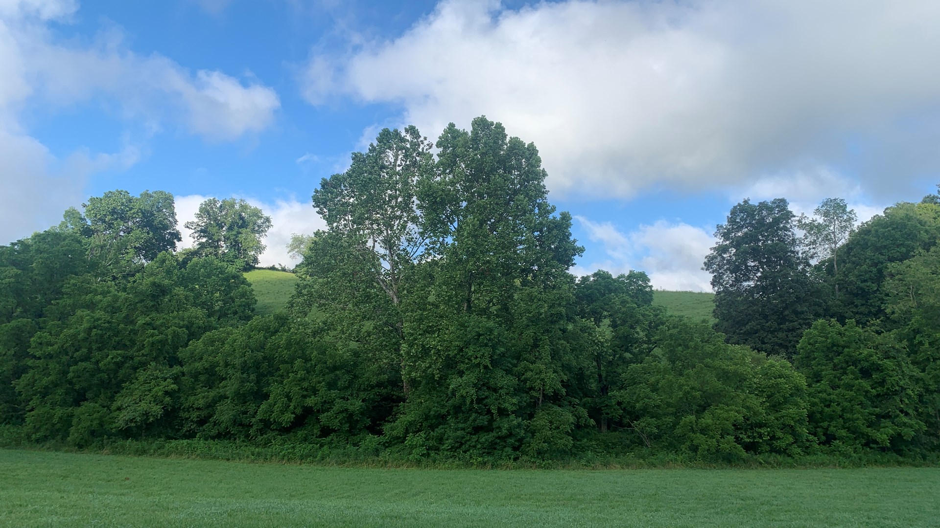 174 ACRE JACKSON COUNTY OHIO FARM FOR SALE